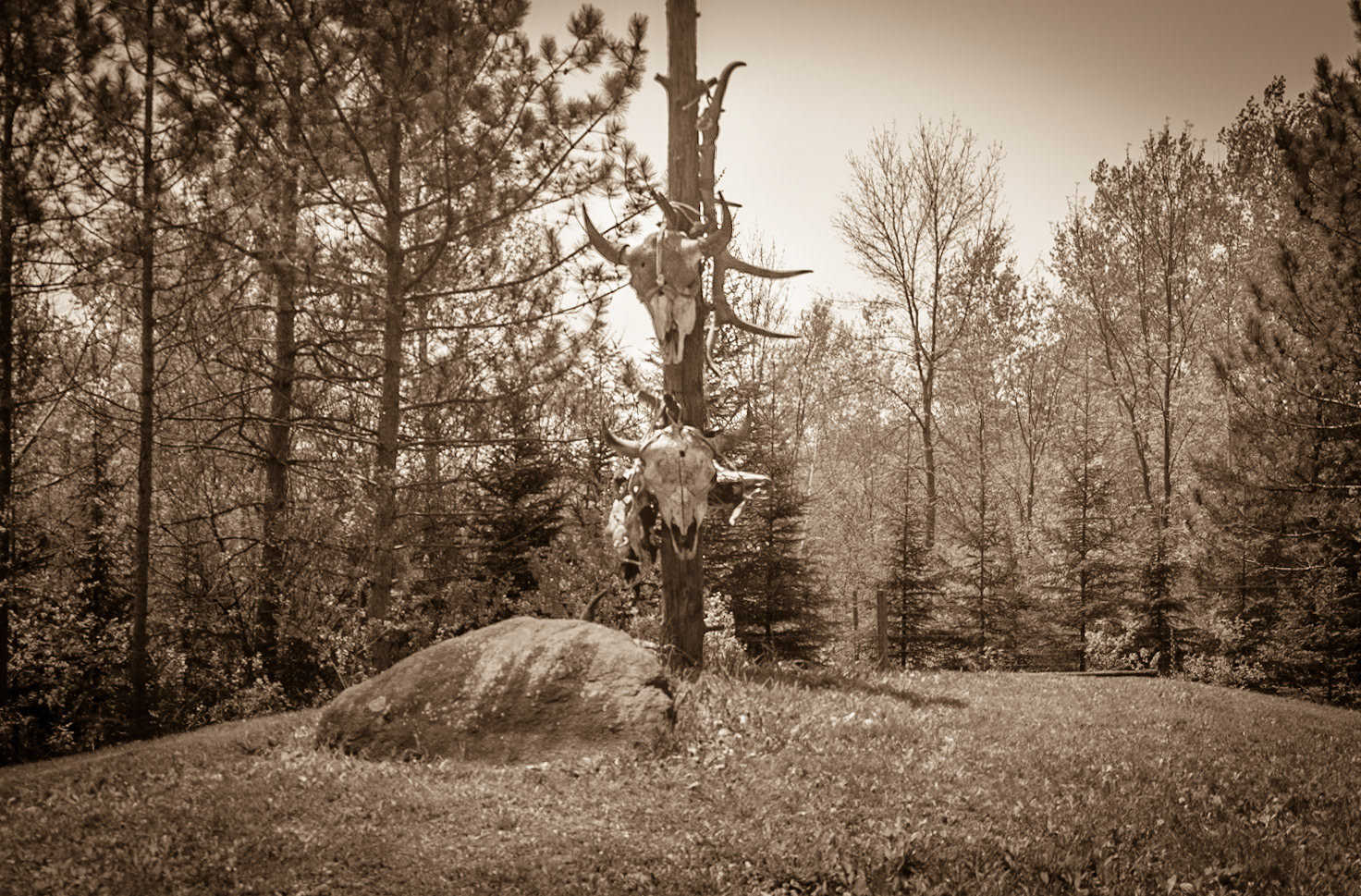 Shalom Wildlife Zoo - 2016-05 - 0206