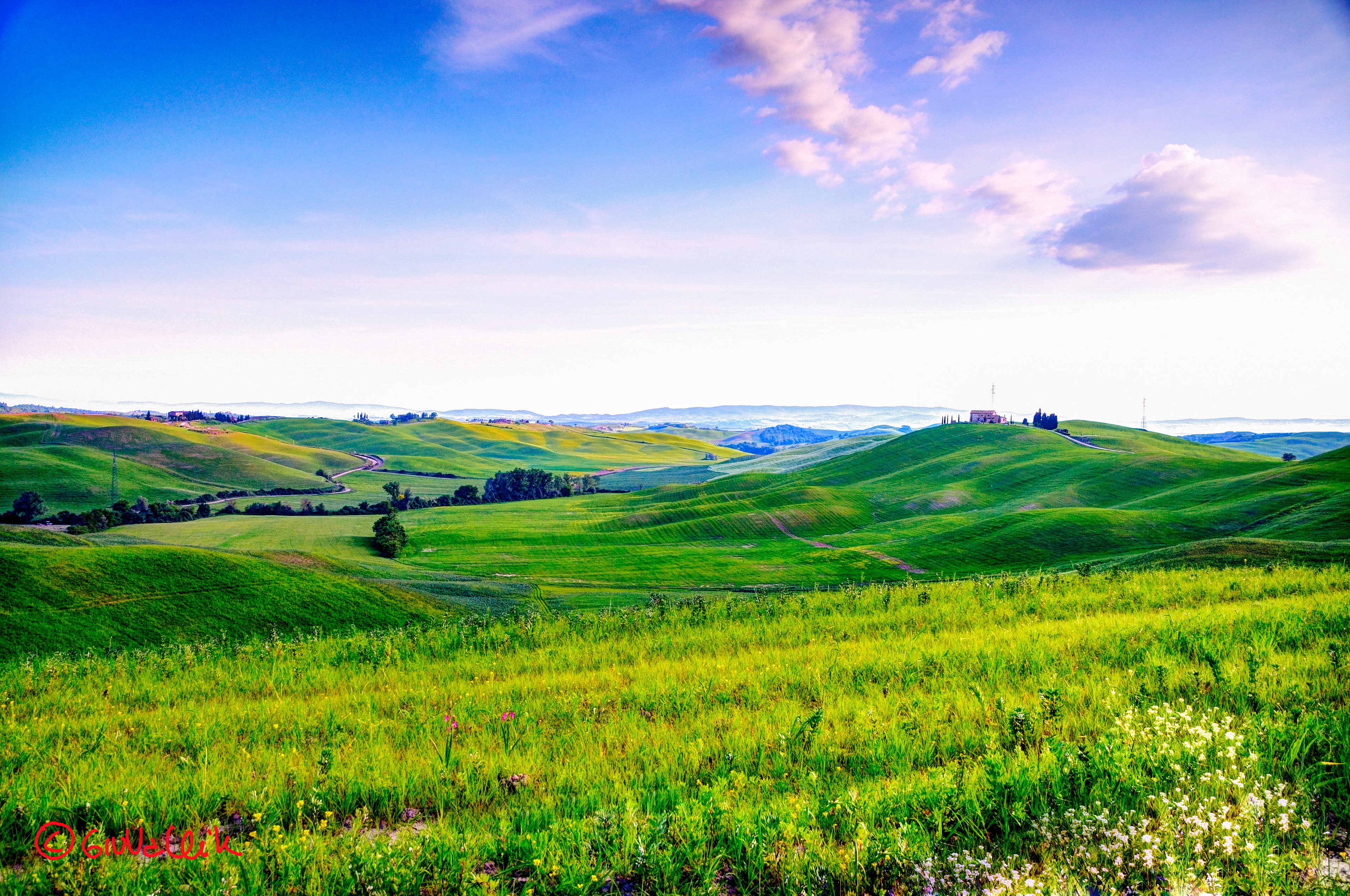 Tuscan Countryside Siena
