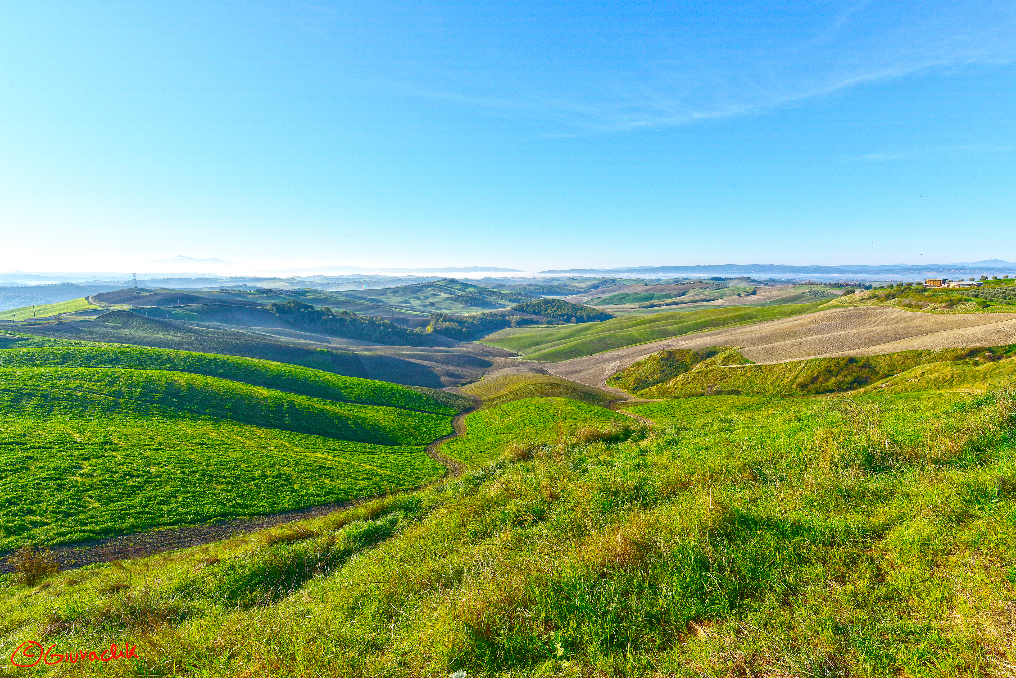 Tuscan Countryside Siena