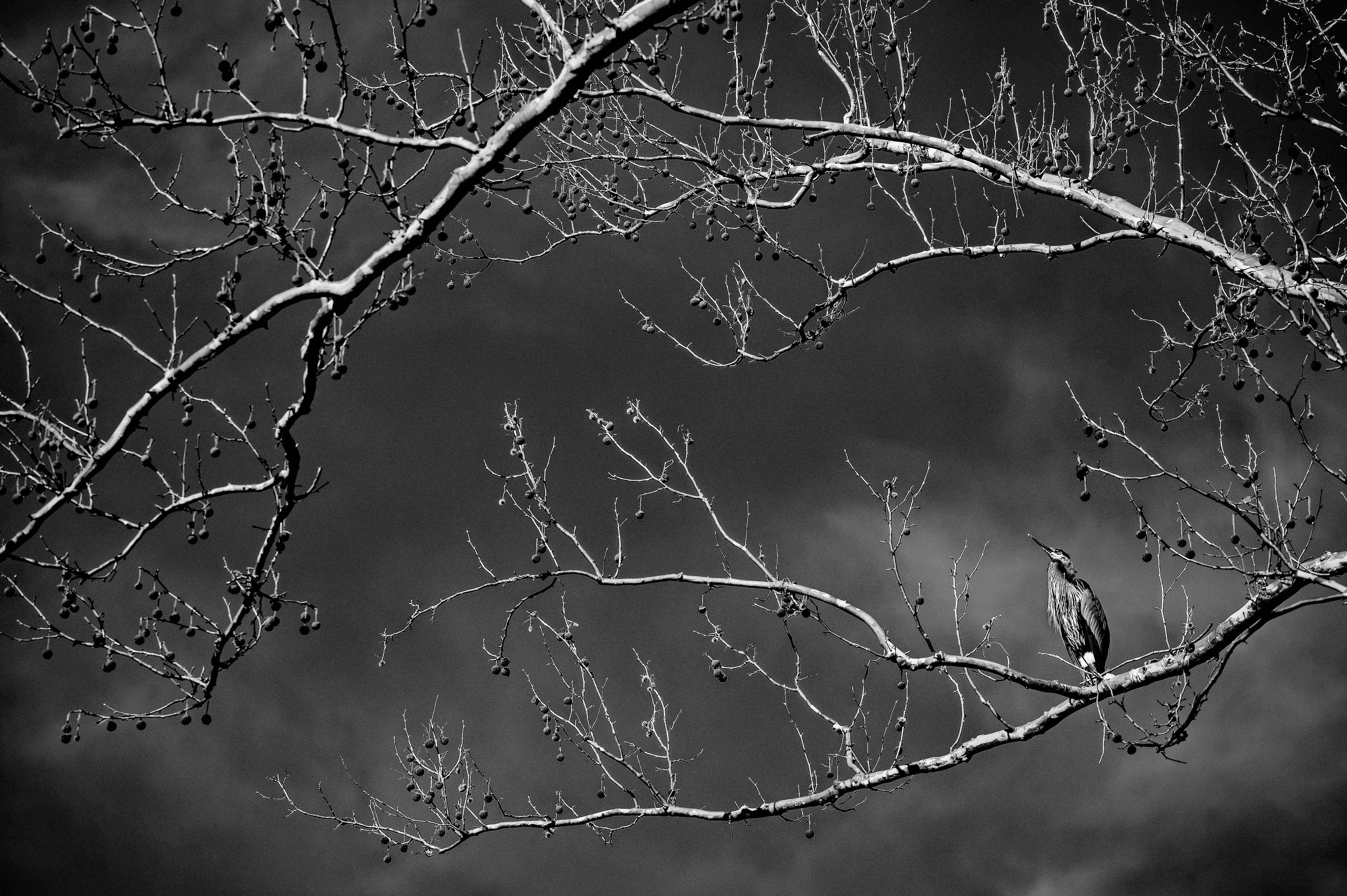 Perched between presence and absence. The weight of everything that could have been. Somewhere between why and how. Everything that isn't there still lingers here.