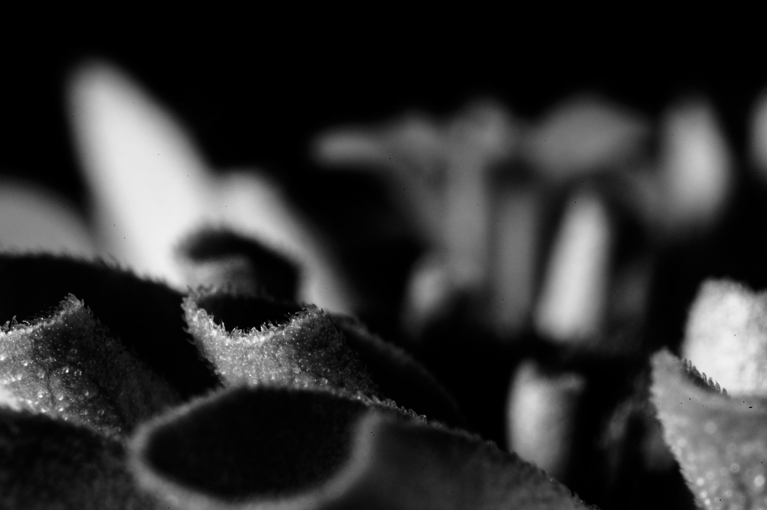 I never noticed how she carried herself. I was too caught up in hating myself. 