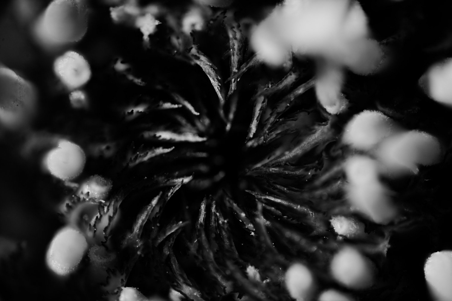 No saviors, no holy grace. Just shadows where I lost my place.