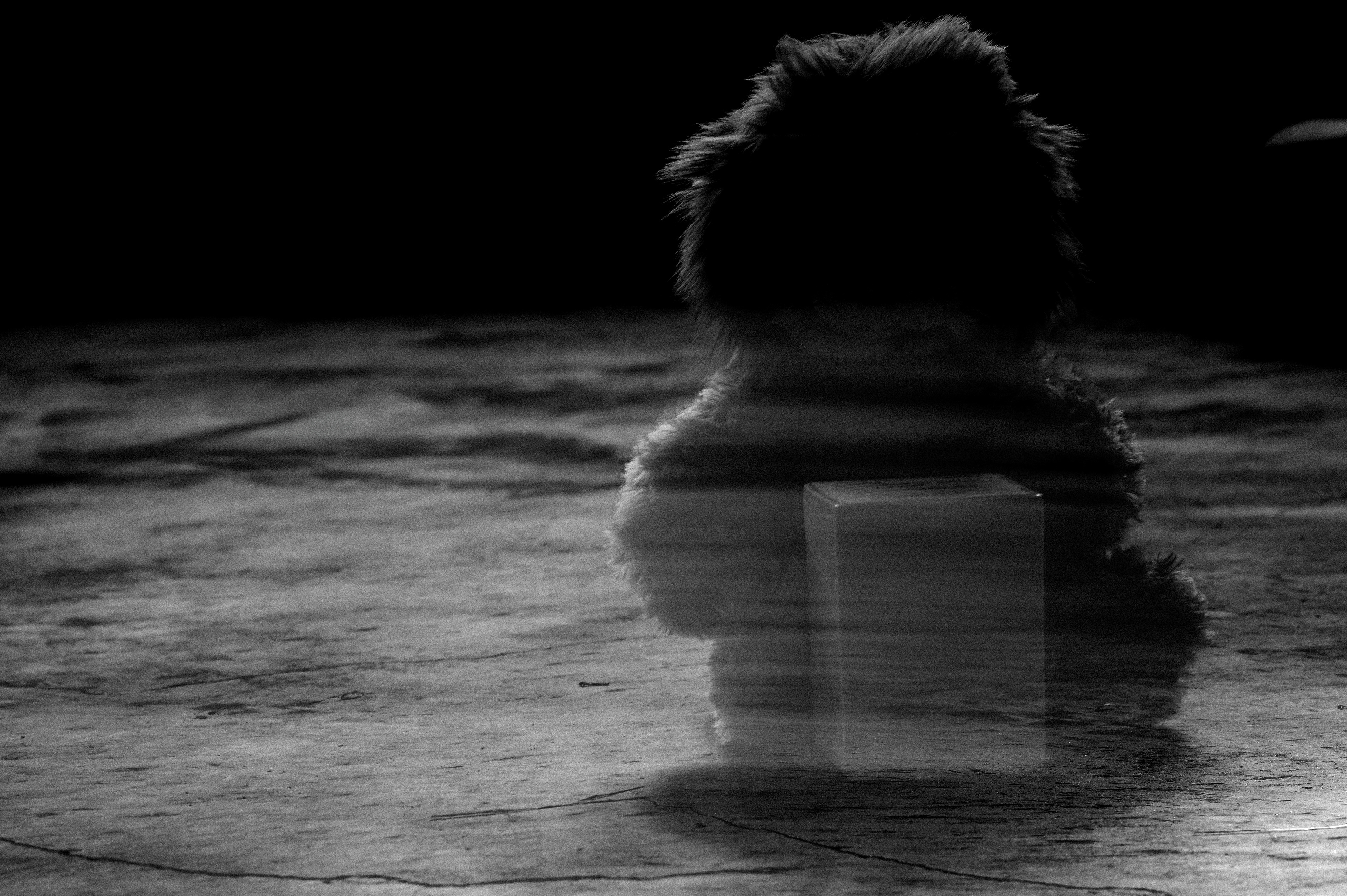 I need more time, but time doesn’t wait, we fade like whispers at heaven’s gate. Illuminate me from this misery — reverse the stars, bring you back to me.