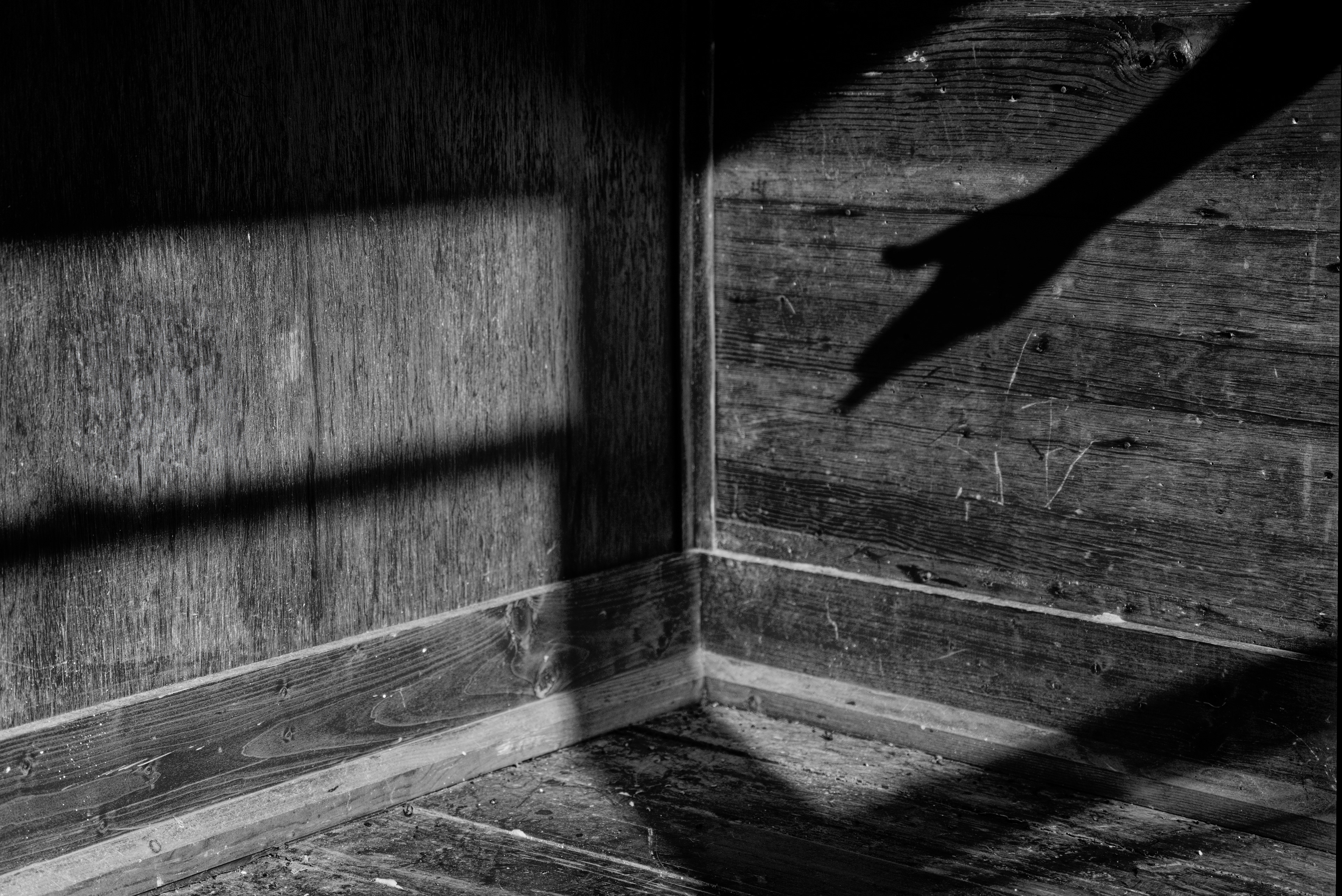 The shadow of grief reaches further than we ever could stretch. We send thoughts and prayers to those we love, but they disappear. The shadow never does. It follows us, even when the sun hides behind the clouds.