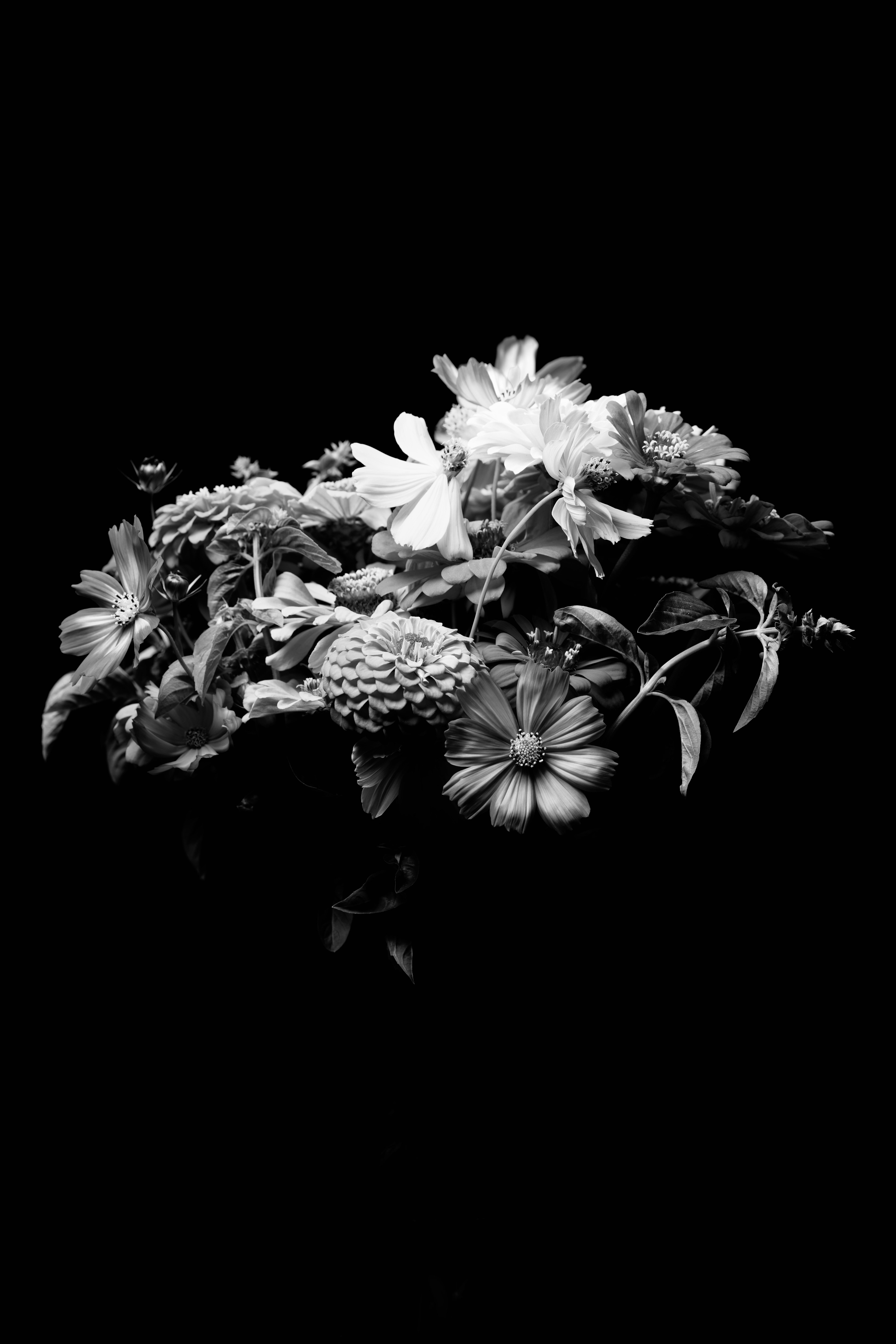 I thought nothing could grow here. But somehow, even the void bloomed. 