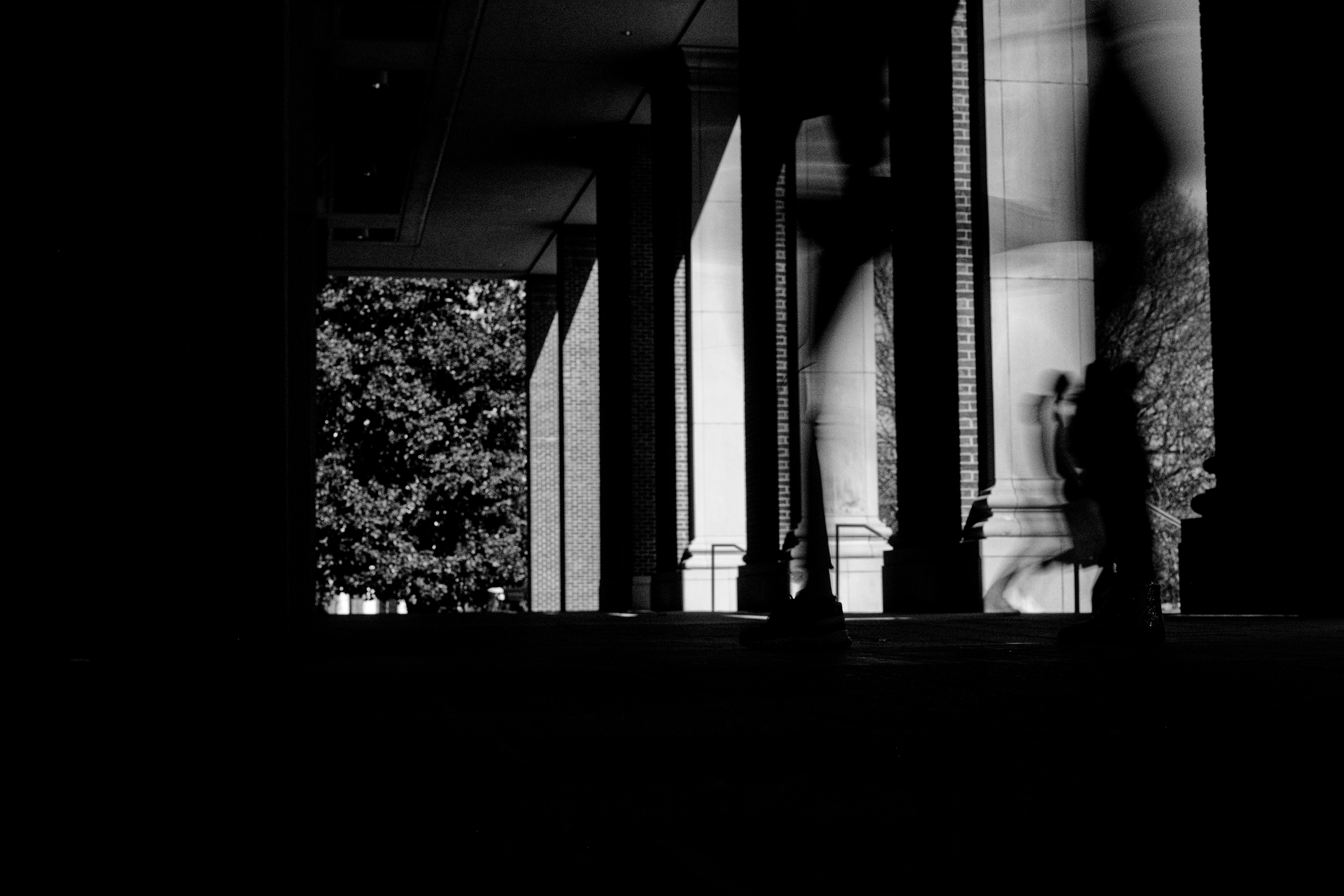 Between light and shadow, ghosts whisper of those who were. Footsteps echo, then vanish. Nothing remains.