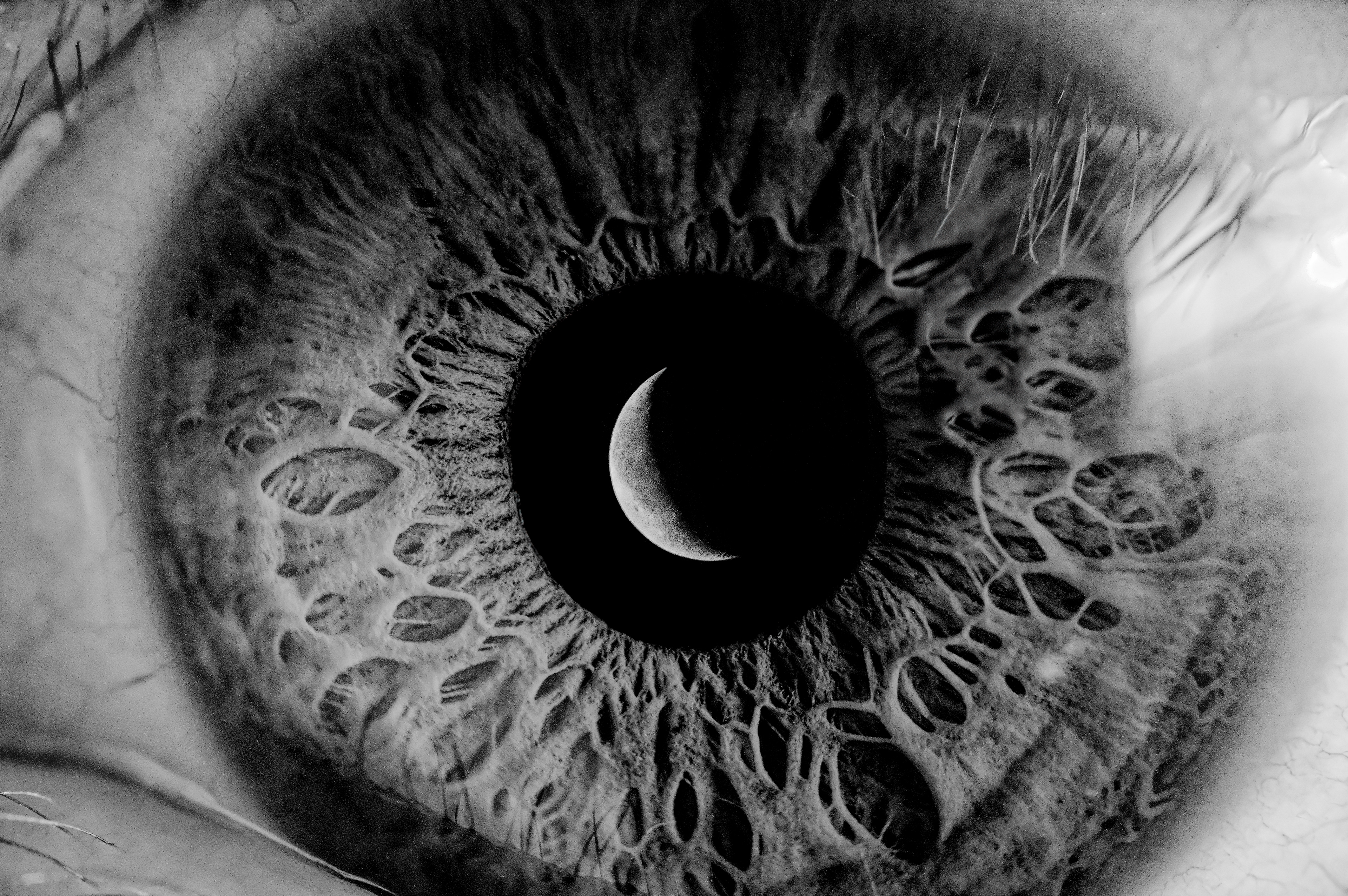 This is absence becoming a god. It’s no longer a thought or feeling. The emptiness has become my holy ground.