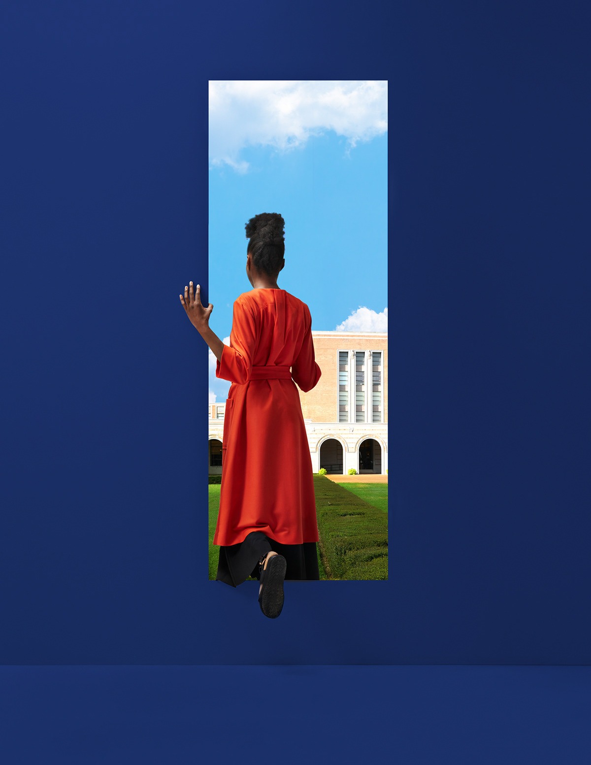 Work for the Charles Koch Foundation