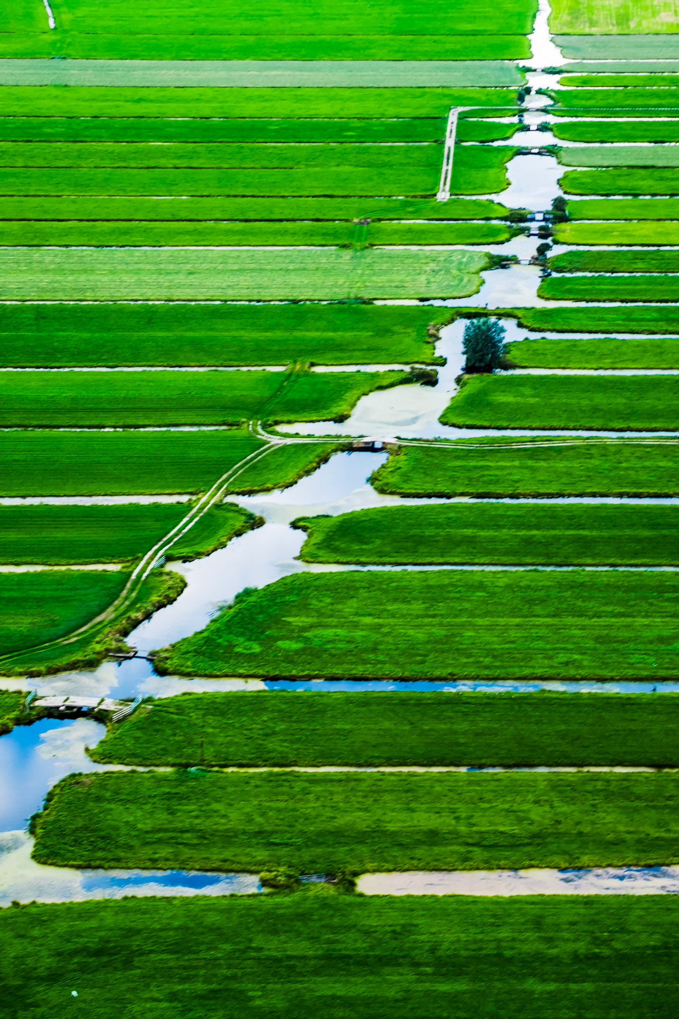 Dutch landscape seen from a air balloon in summertime