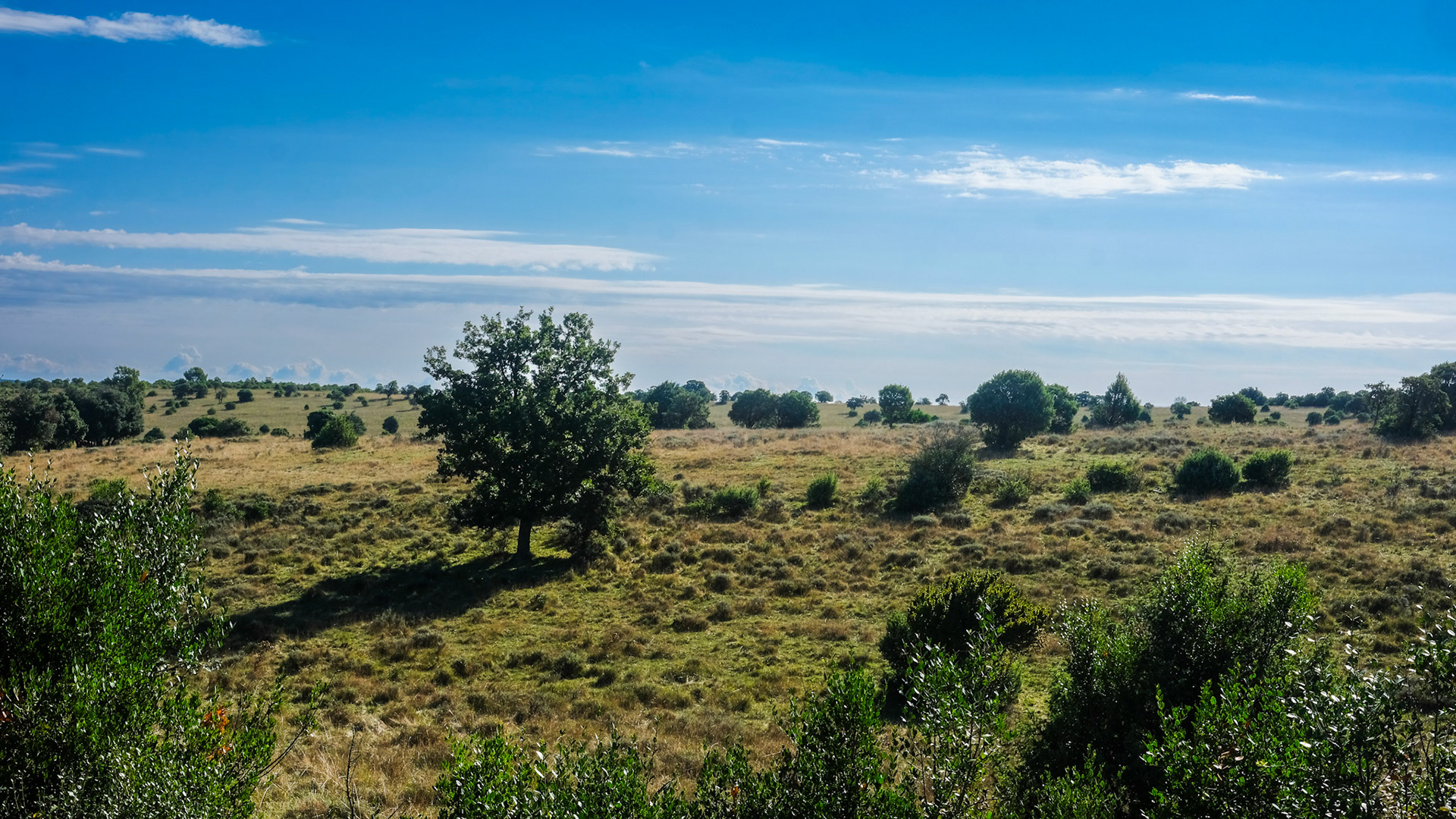 Southern France landscape