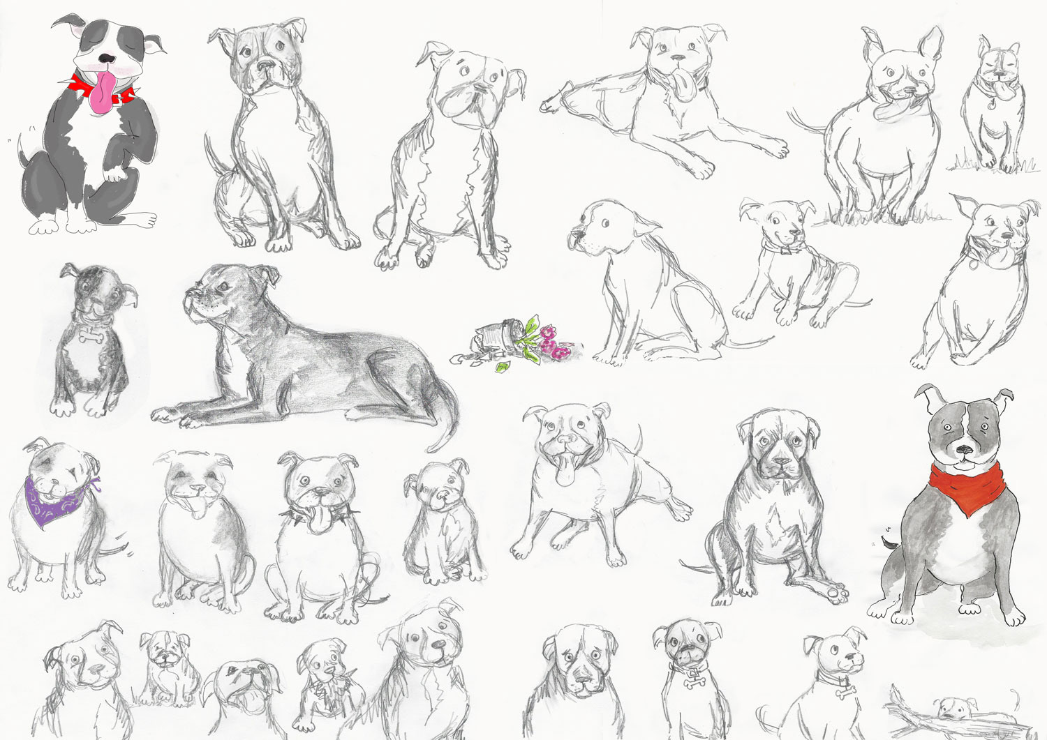 Staffie sketches