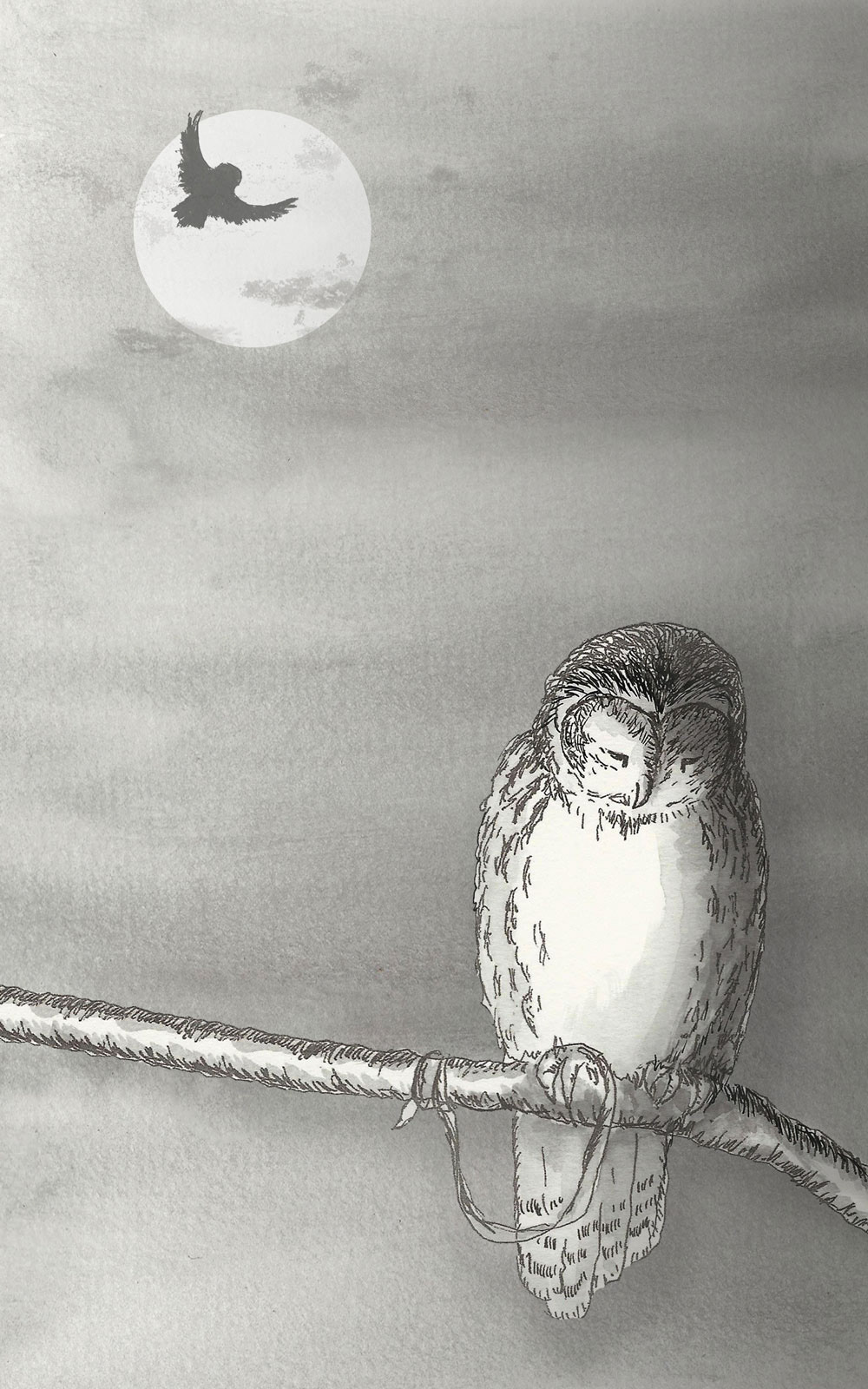 Melancholy owl