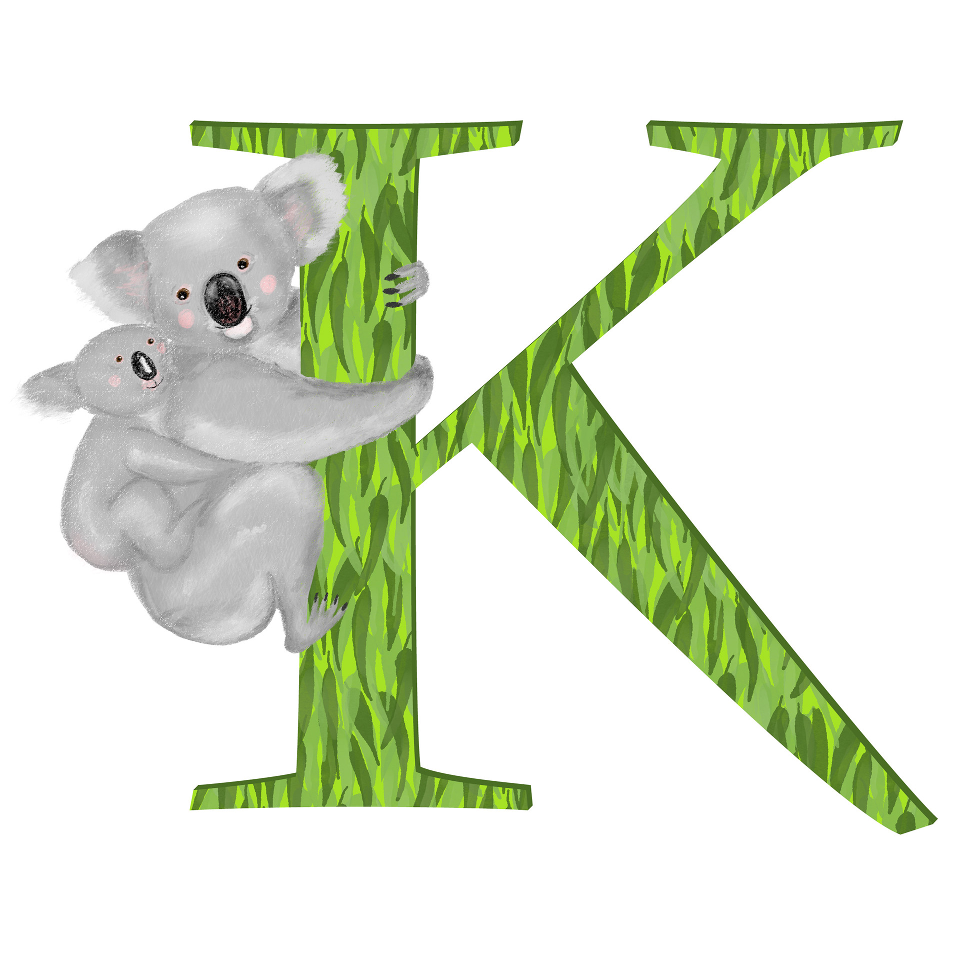 K is for koala