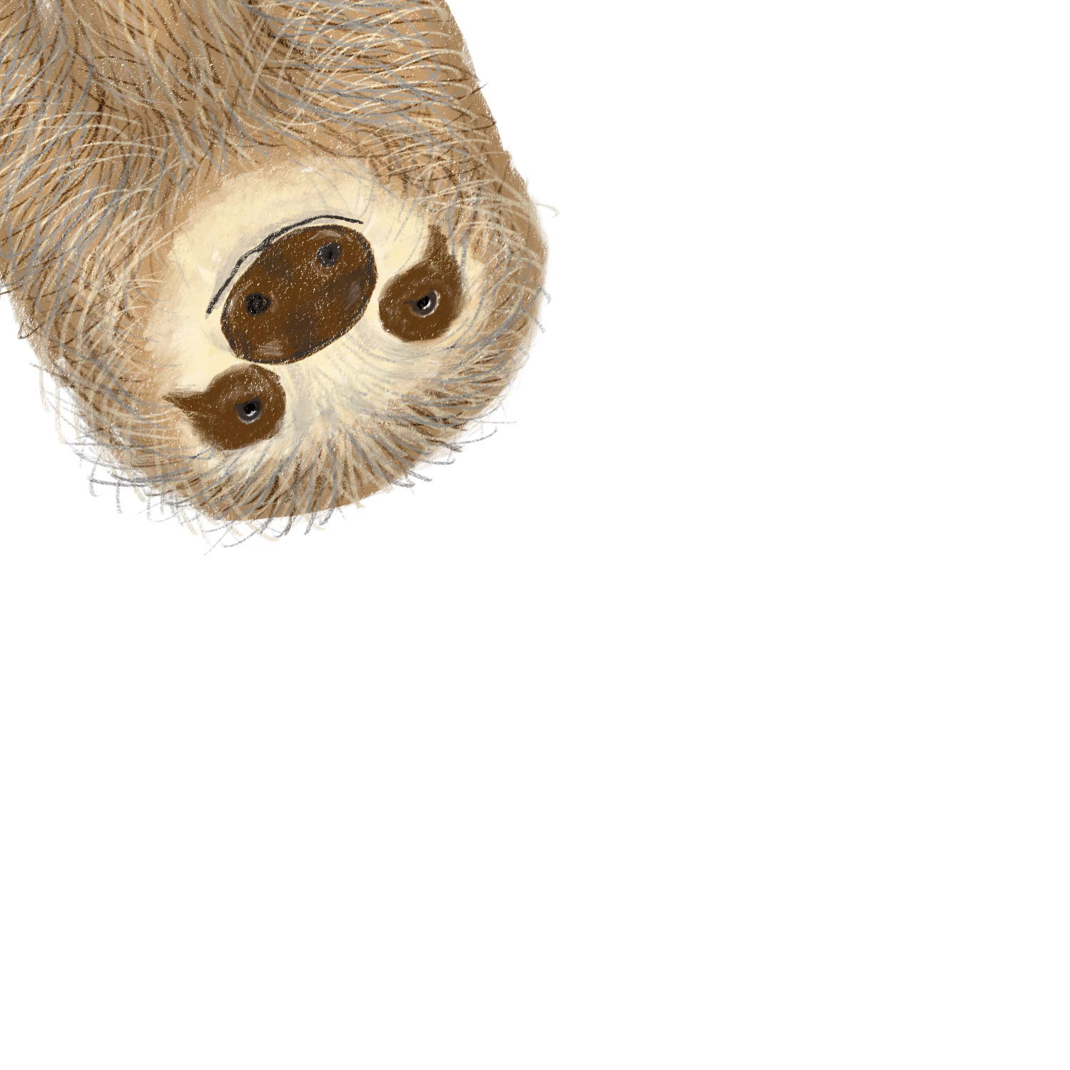 Stanley Sloth