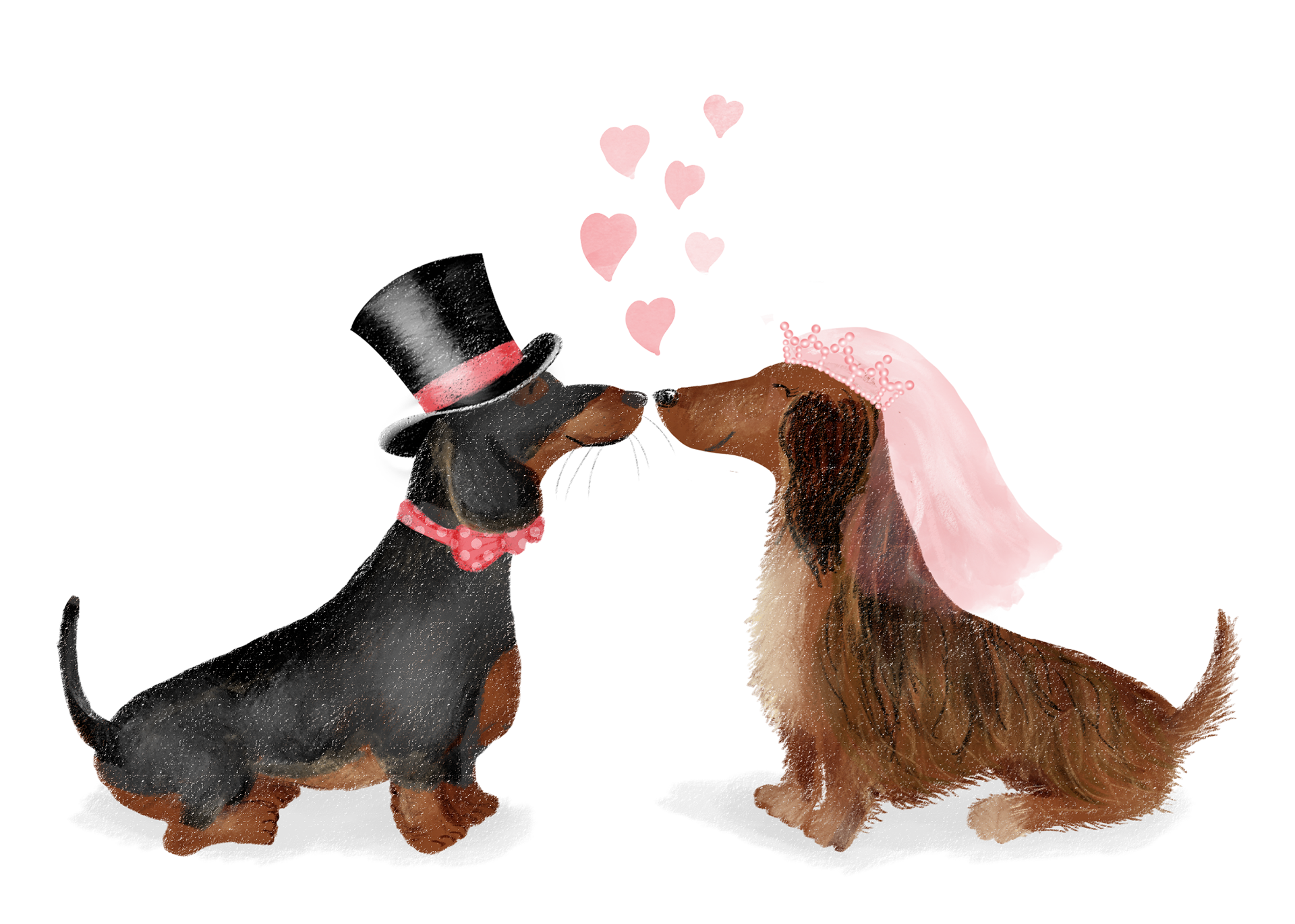 Mr and Mrs