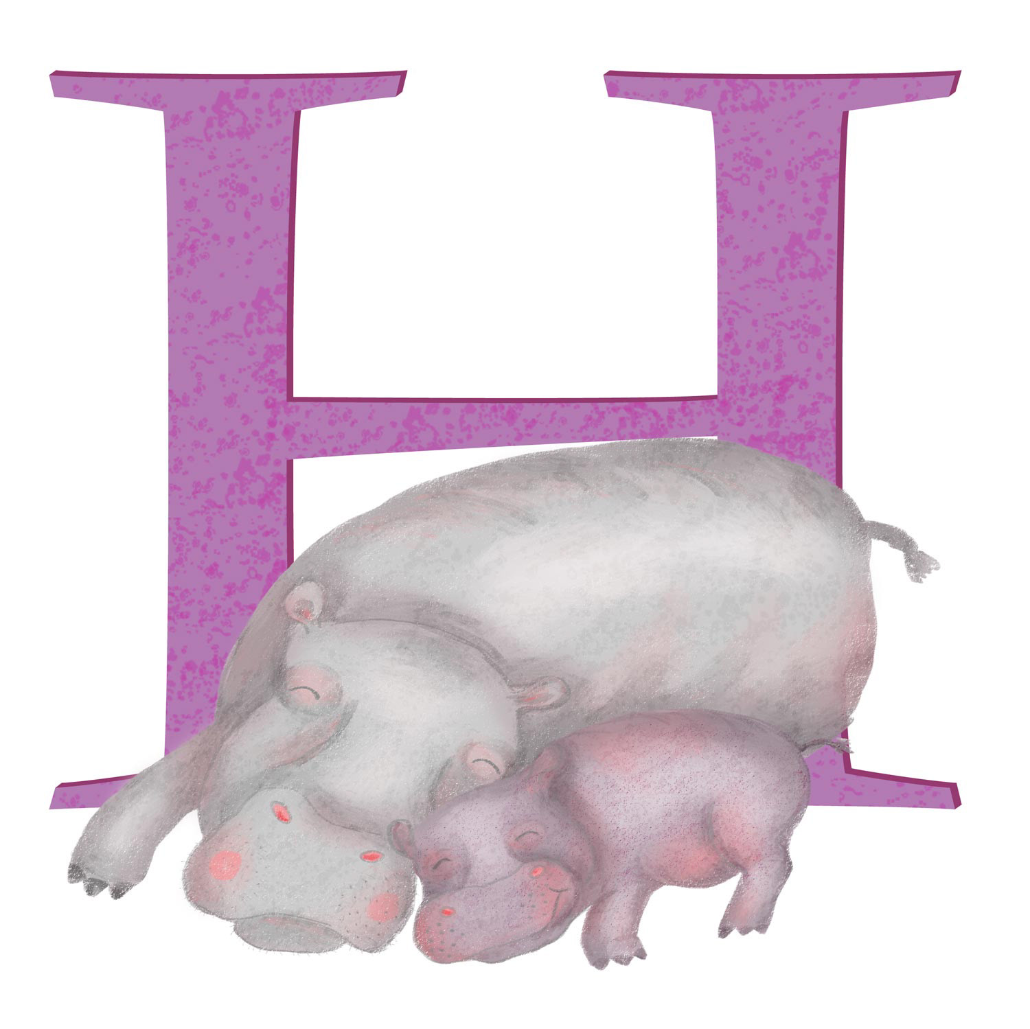 H is for hippo