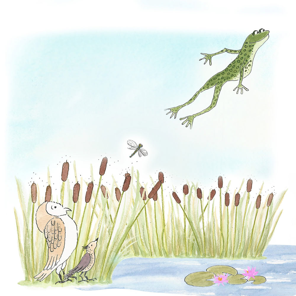 Frog, from The Dreaming Lark and the Vigilant Barn Owl