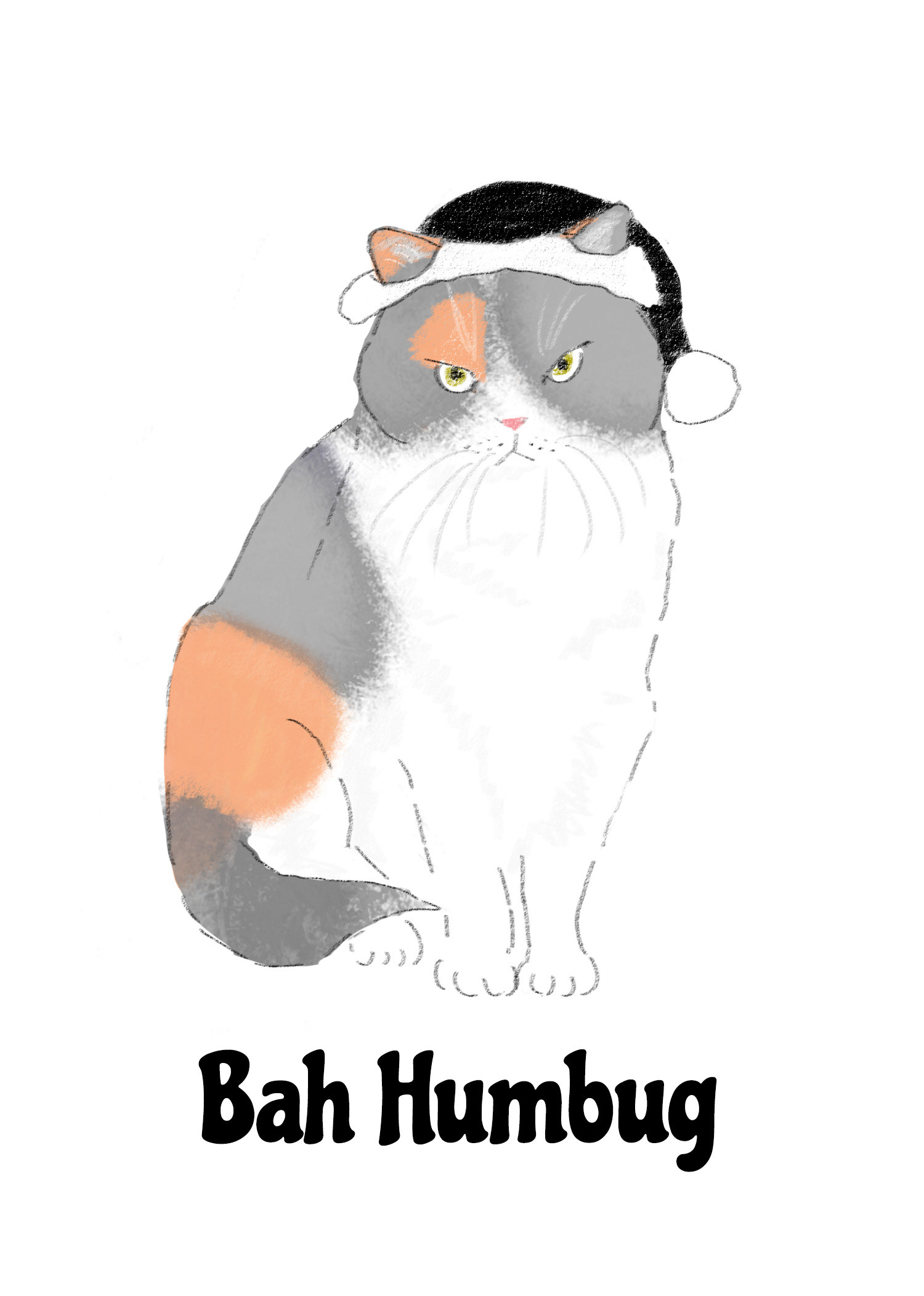 Bah humbug