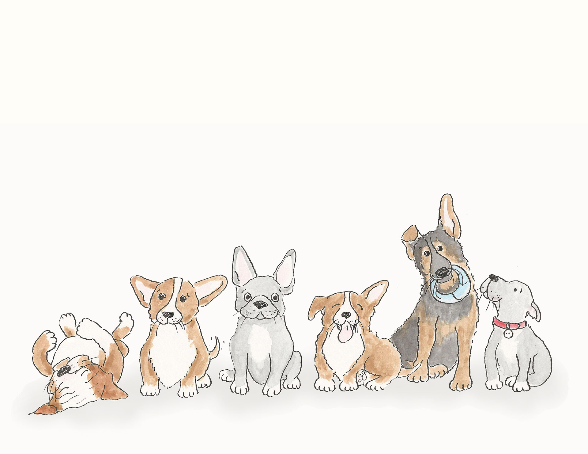 Puppies