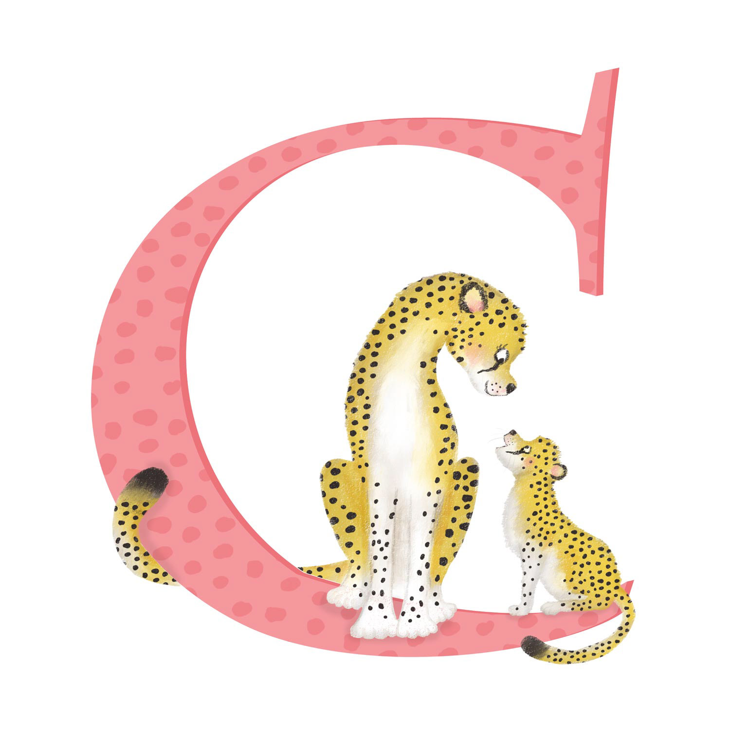 C is for cheetah