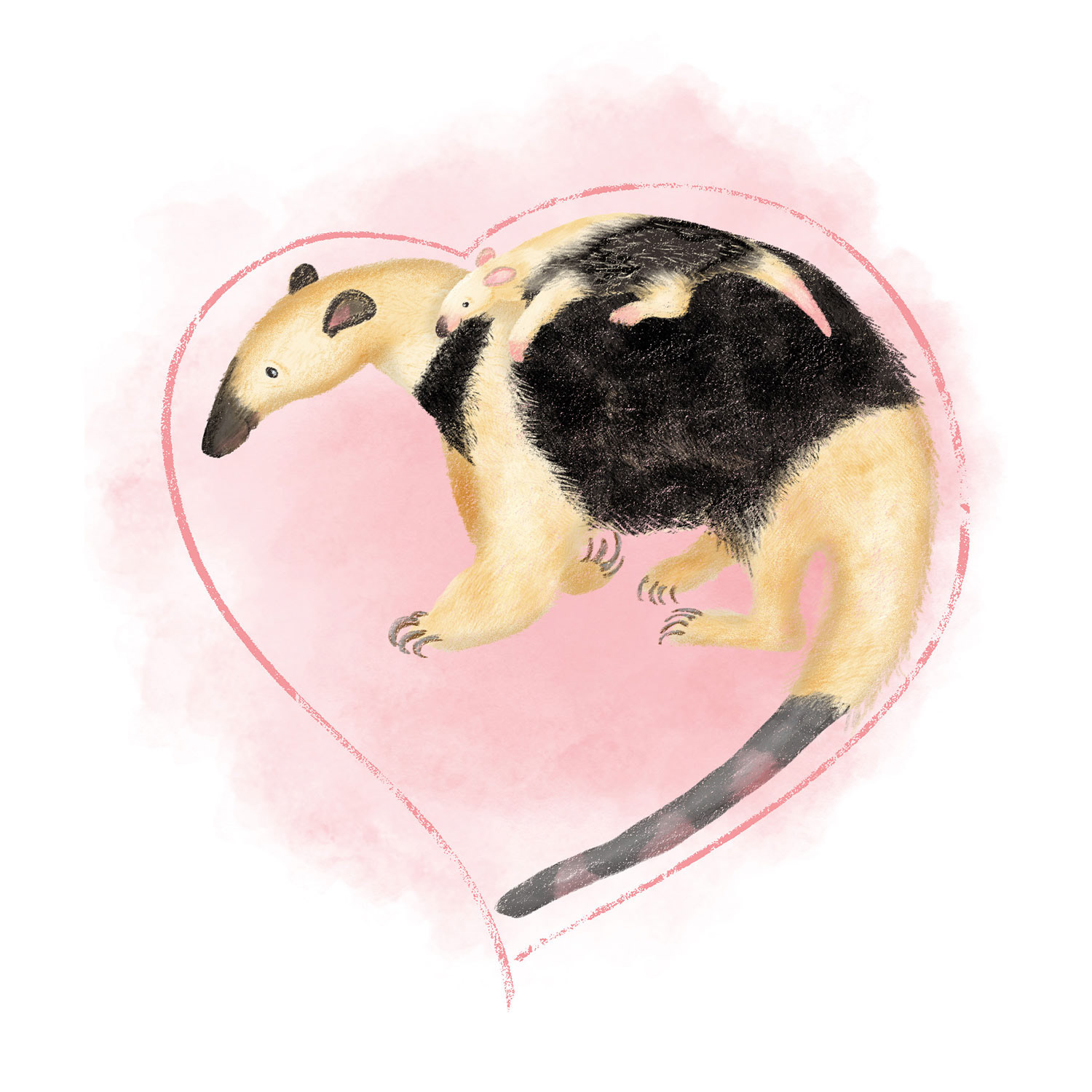 Tamandua love