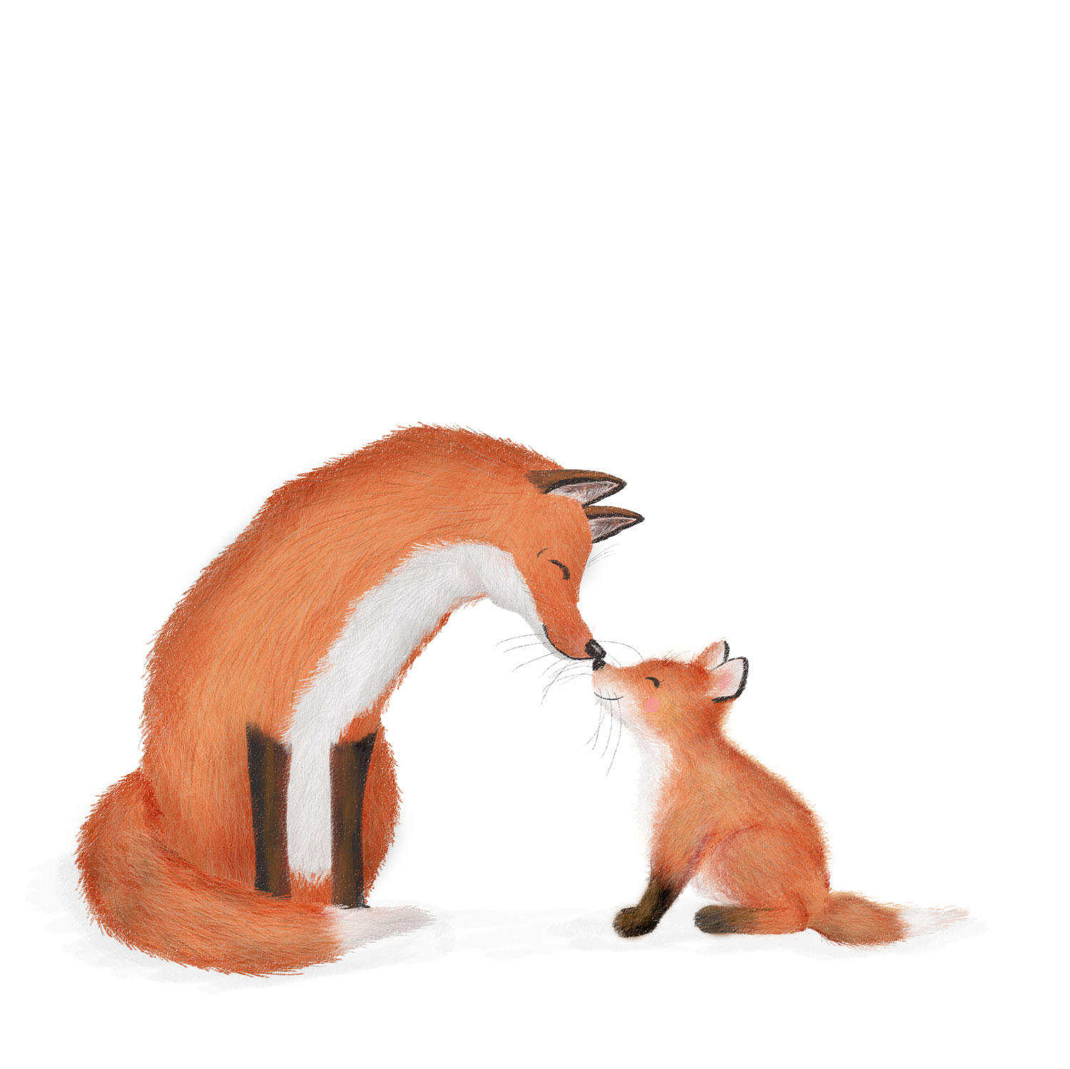 Fantastic Mr Fox and cub