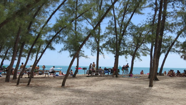 Key West Florida n9