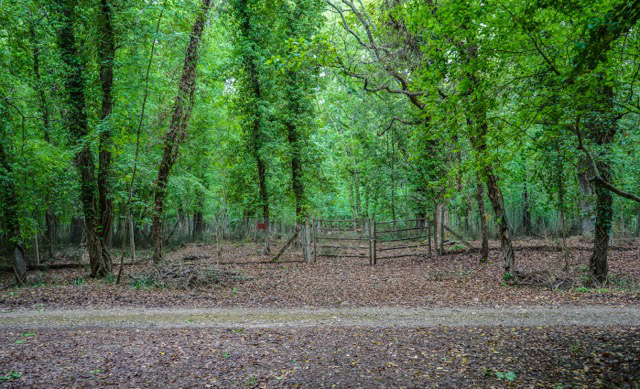 Parco Nazionale Circeo n1