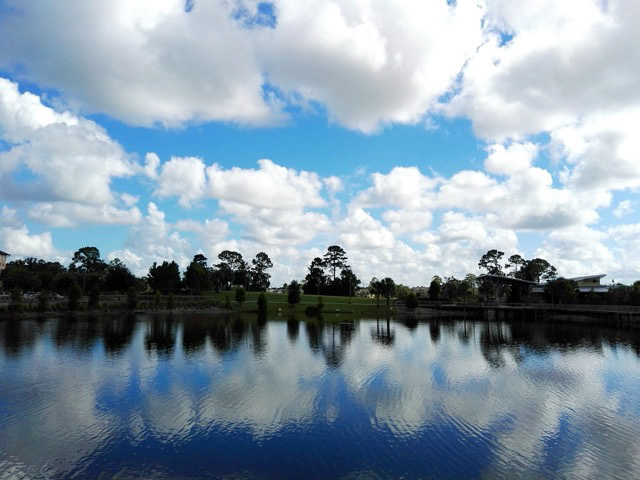 Florida n10