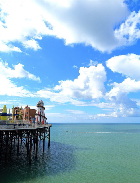 Brighton t13