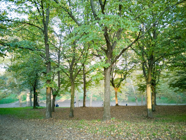Villa Borghese Roma n12