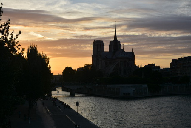 Notre Dame Parigi c13