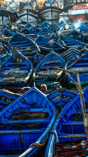 Essaouira Marocco t55
