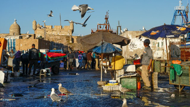 porto di Essauoira Marocco c7