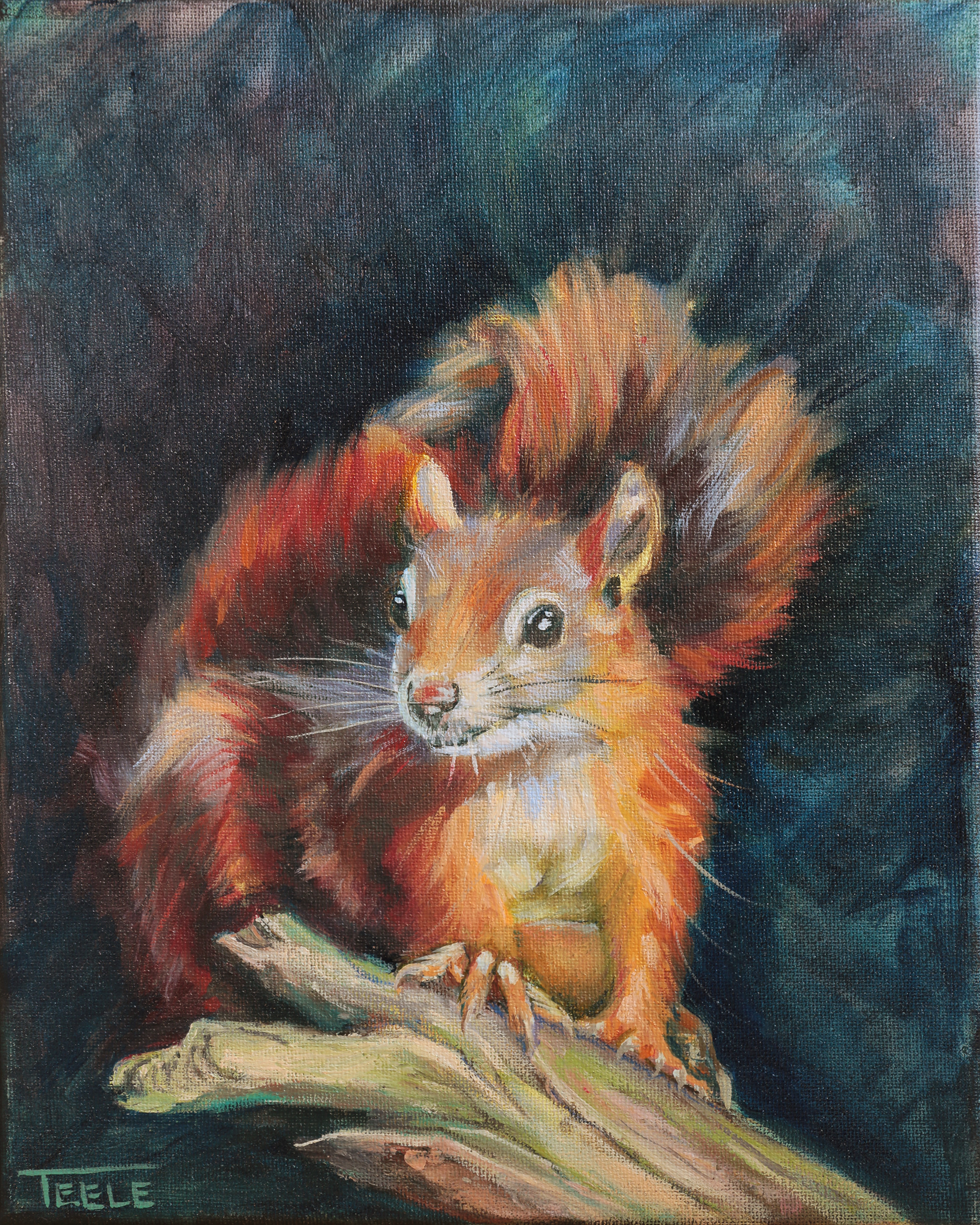 "Red Squirrel" 8x10, Oil