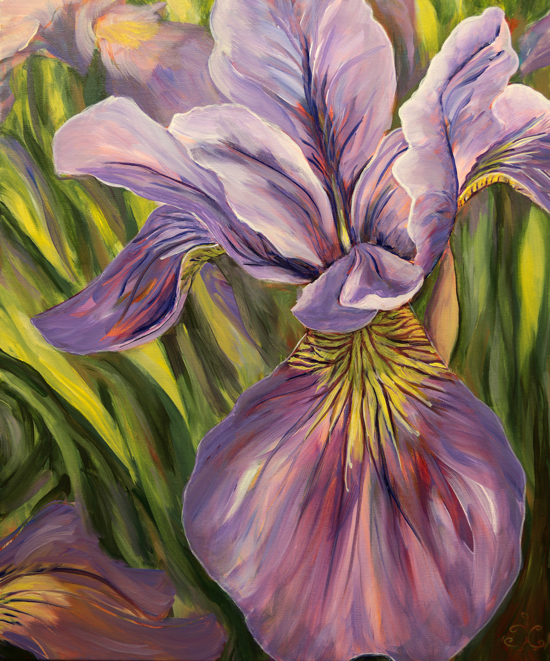 "Ripe Iris" 20x24, oil on canvas