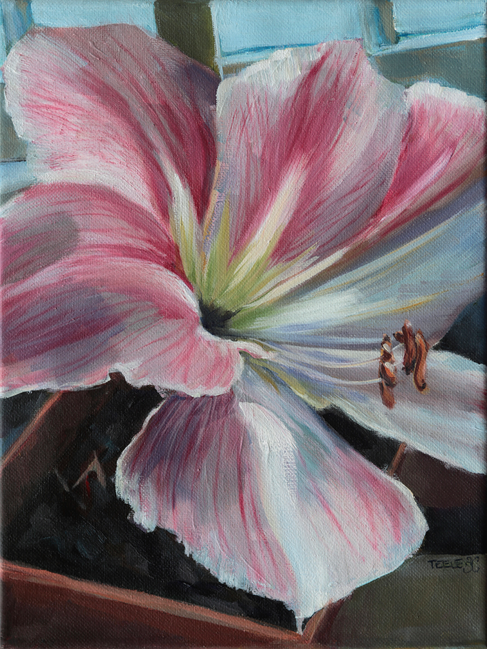 "Amaryllis" 9x12, oil on canvas