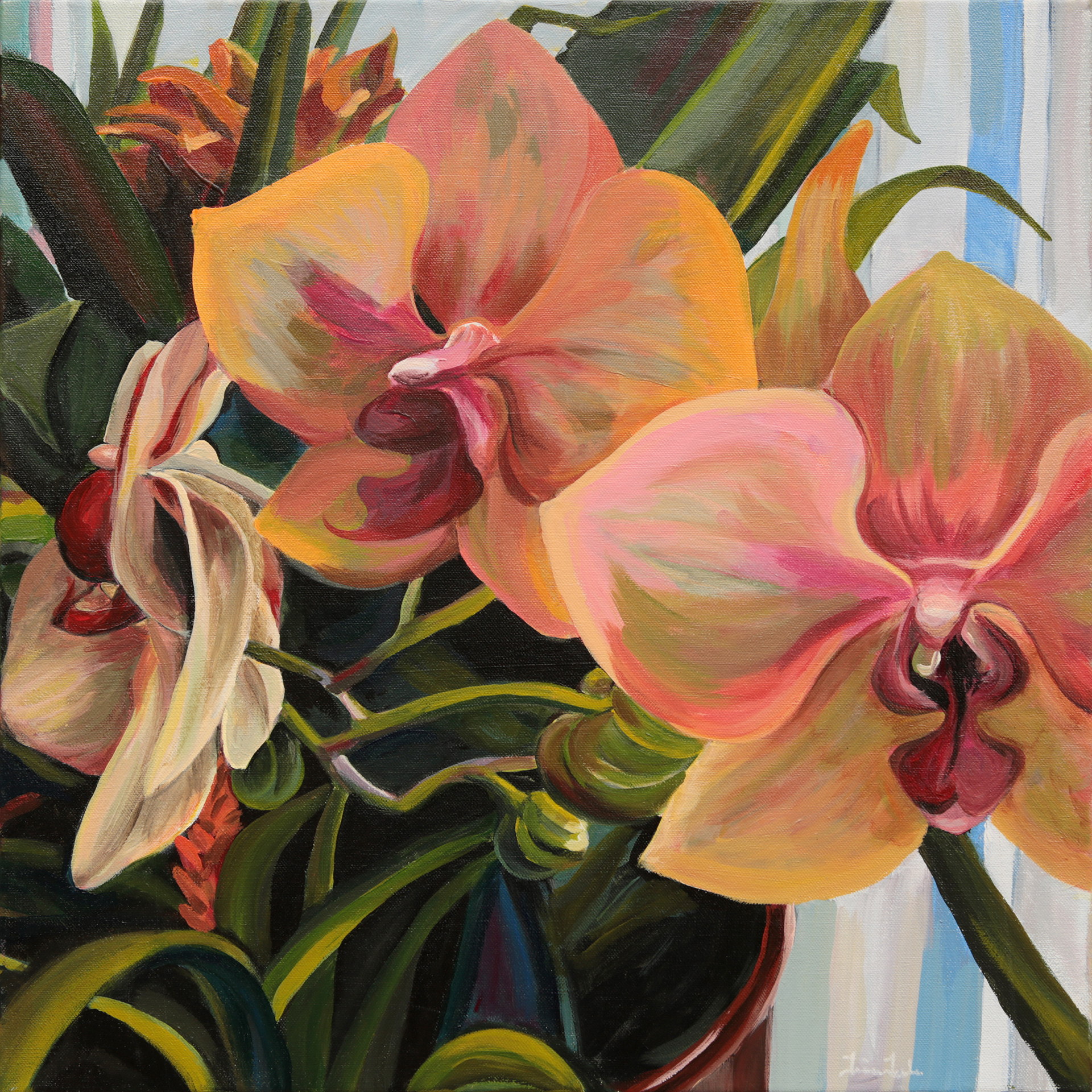 "WIndowsill Orchids" 20x20, acrylic on canvas