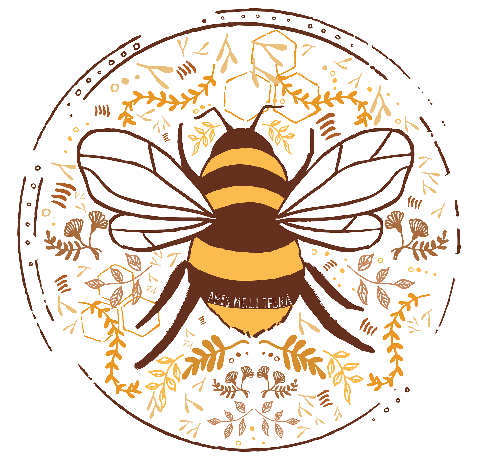 Bee - Apis Mellifera