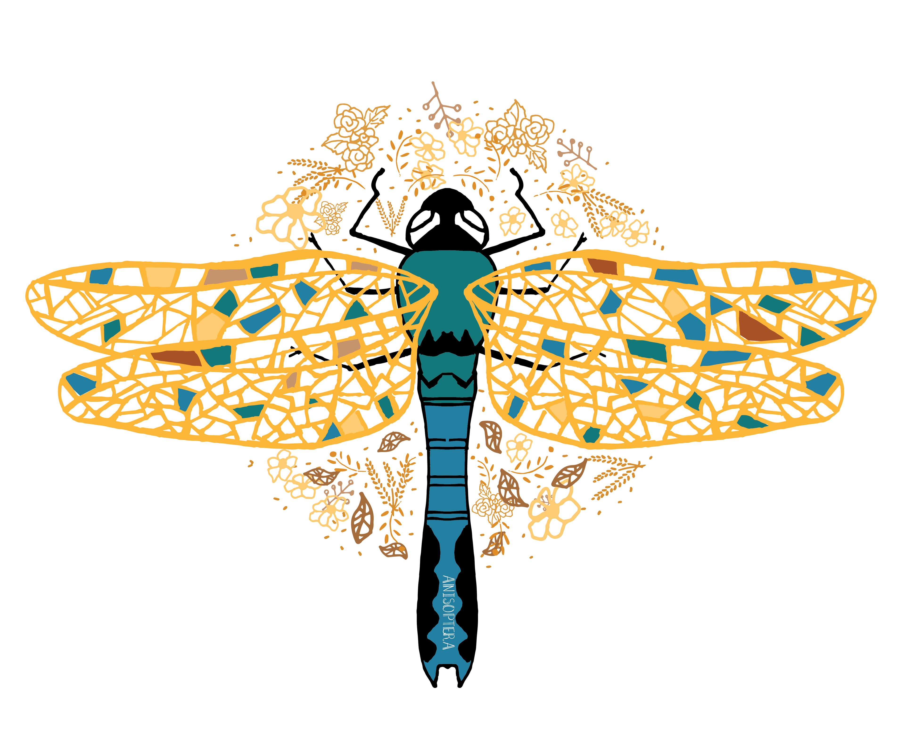 Dragon Fly - Anisoptera