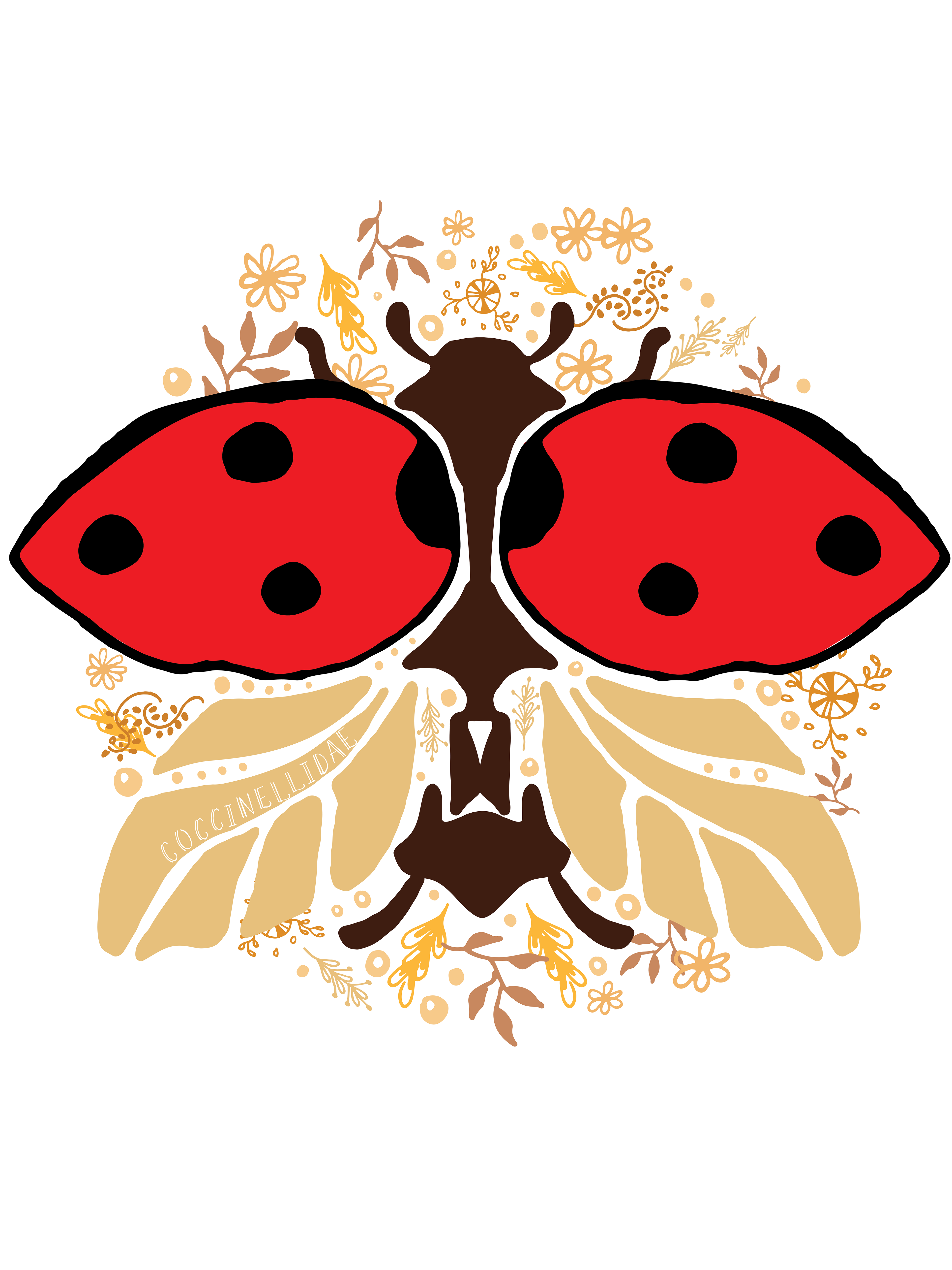 Ladybug - Coccinellidae