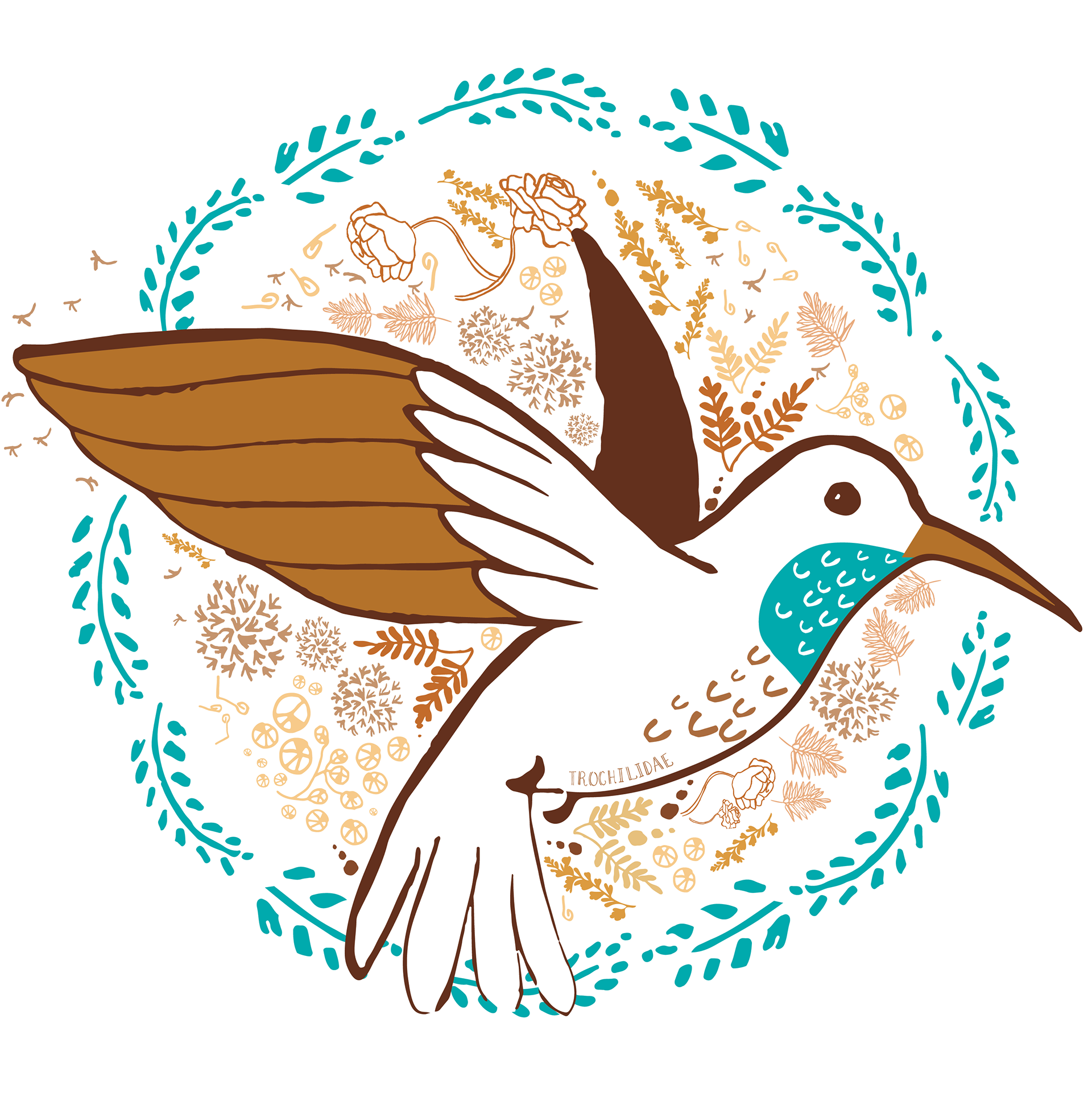 Hummingbird - Trochilidae