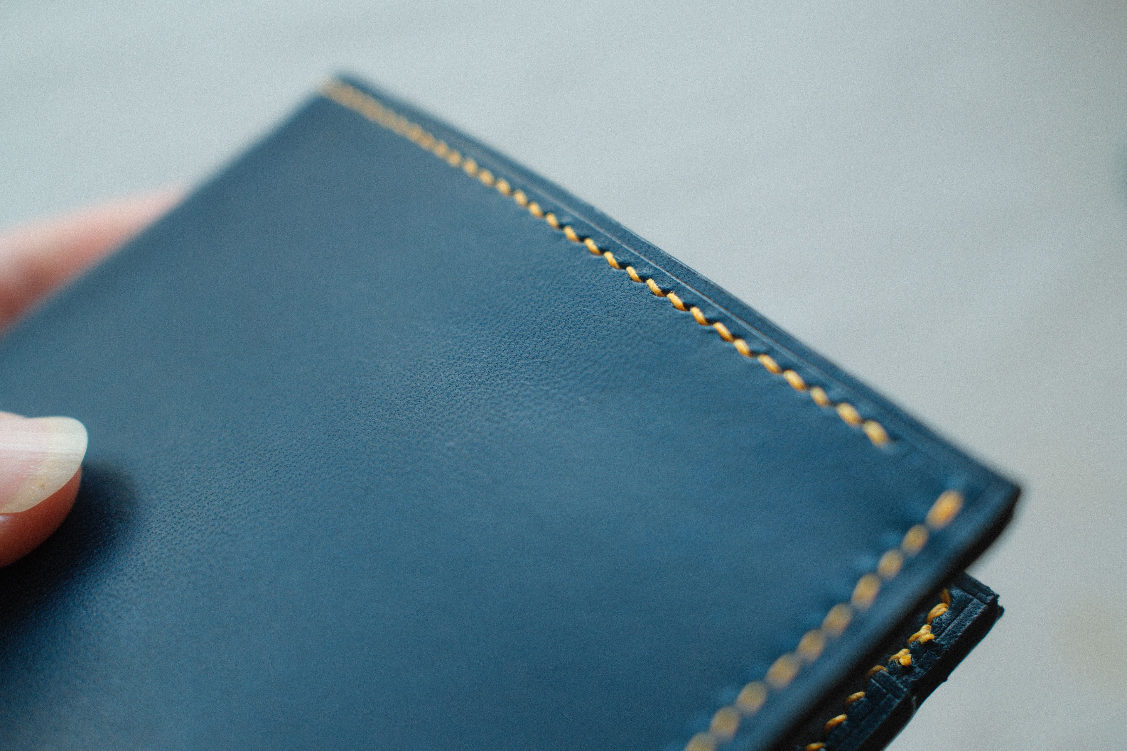 model: Blue-Y-D Peněženka
