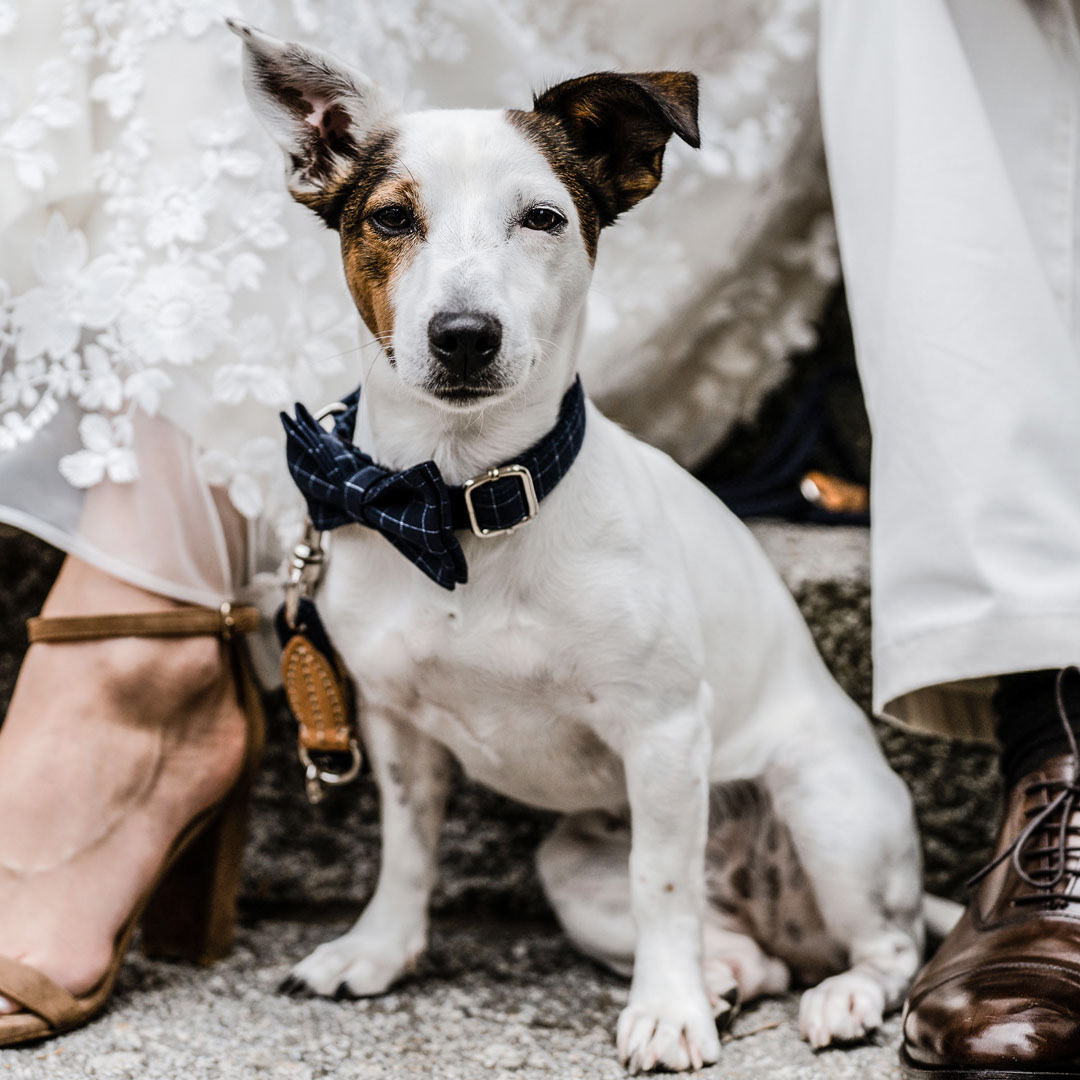 Mix & Match als magisches Brautensemble