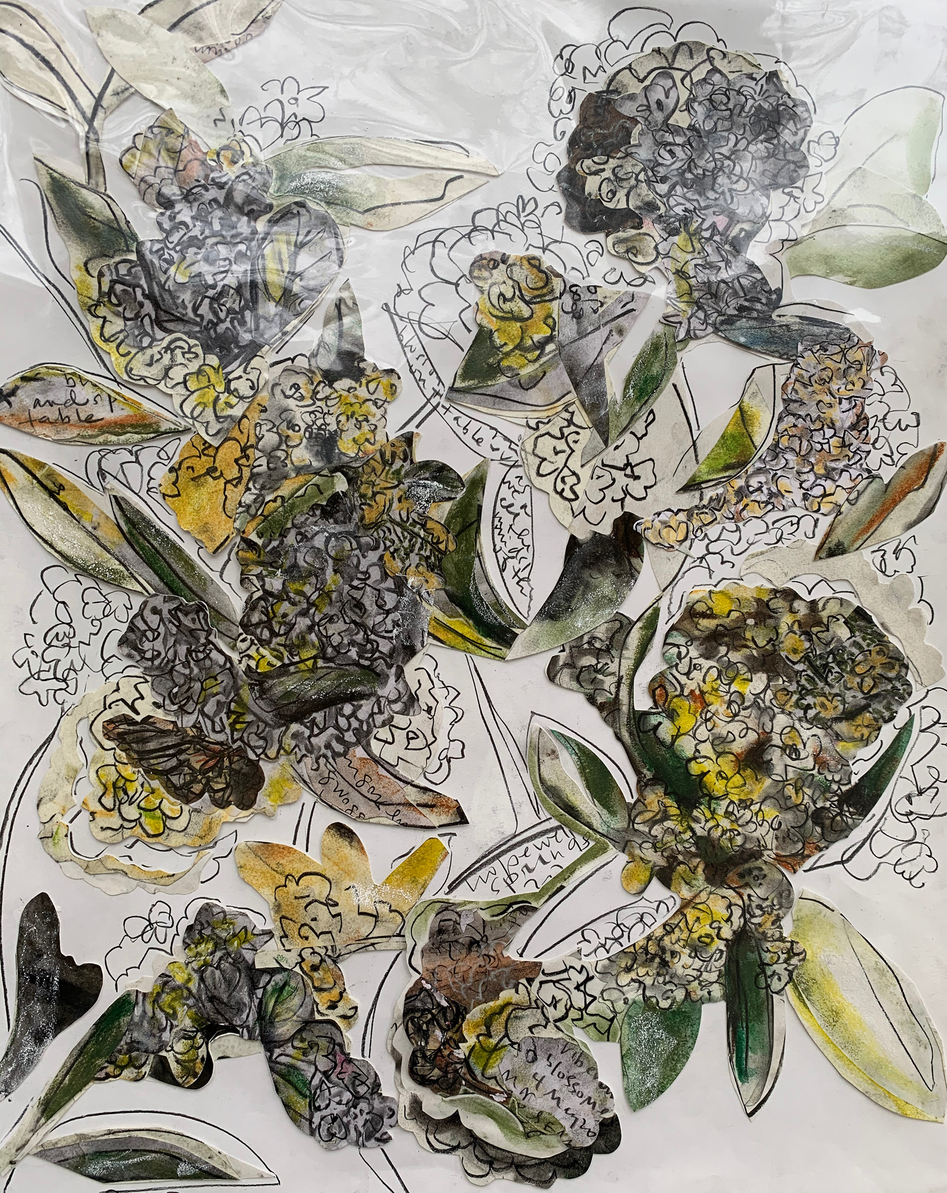 "A Veritable Vibrancy of Vibernum"