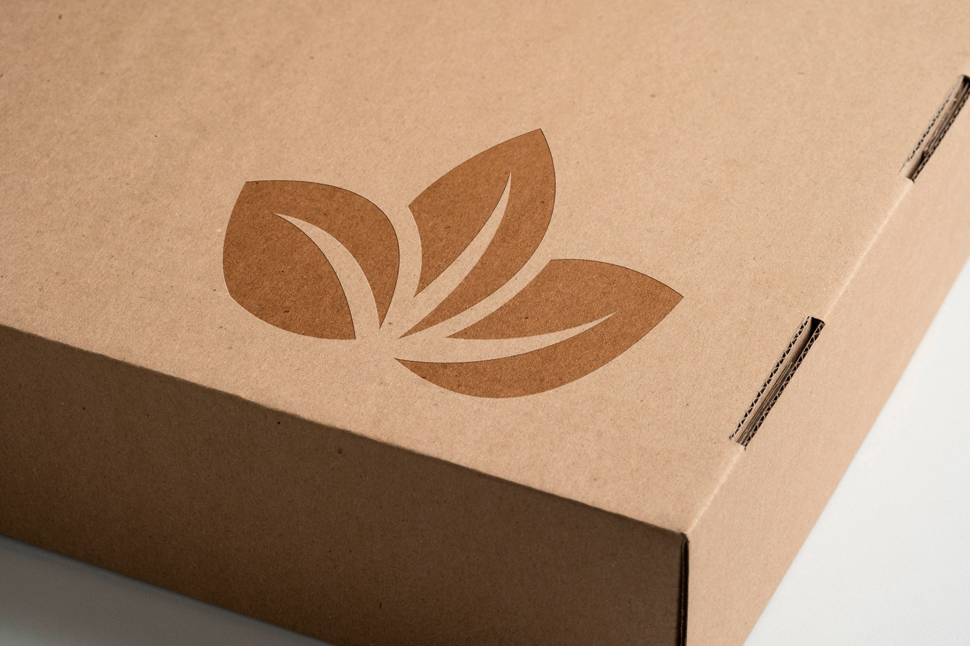 Recyclable box