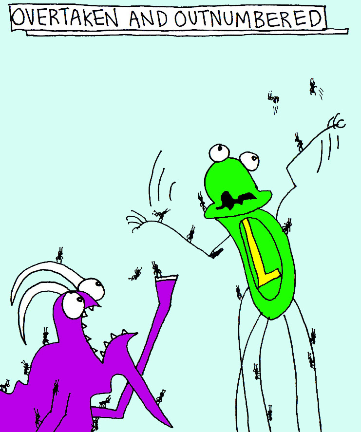 John's Commentary: Mountain Ants are always the biggest and fastest...and when honey gets stuck on fur - they become warrior kings.