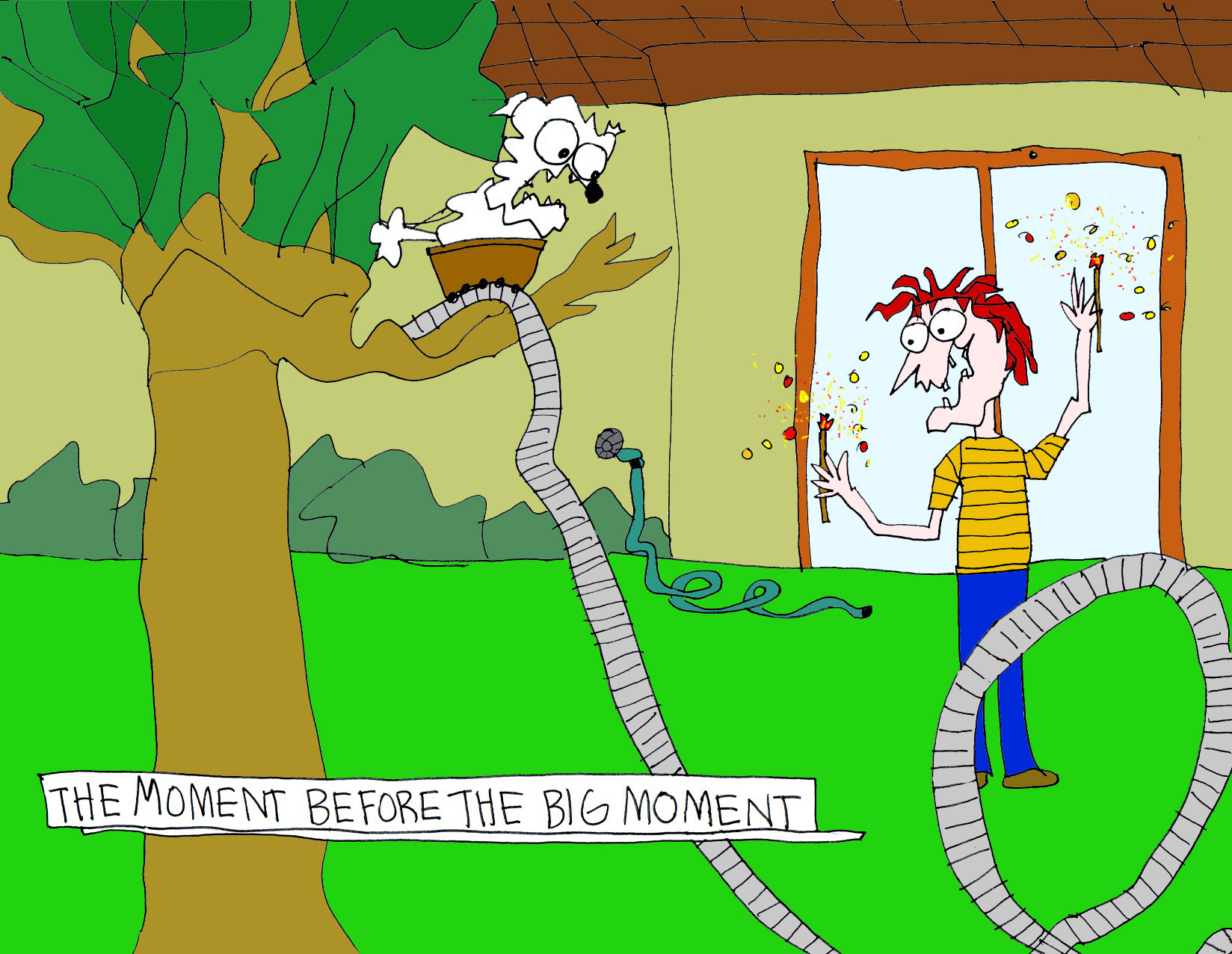 John's Commentary:  Sometimes being a villain can also be creative.  Morgan sure put together an exciting first drop and loop for Sir Charles (who is prone to motion sickness).  Light the sparklers and enjoy the show!