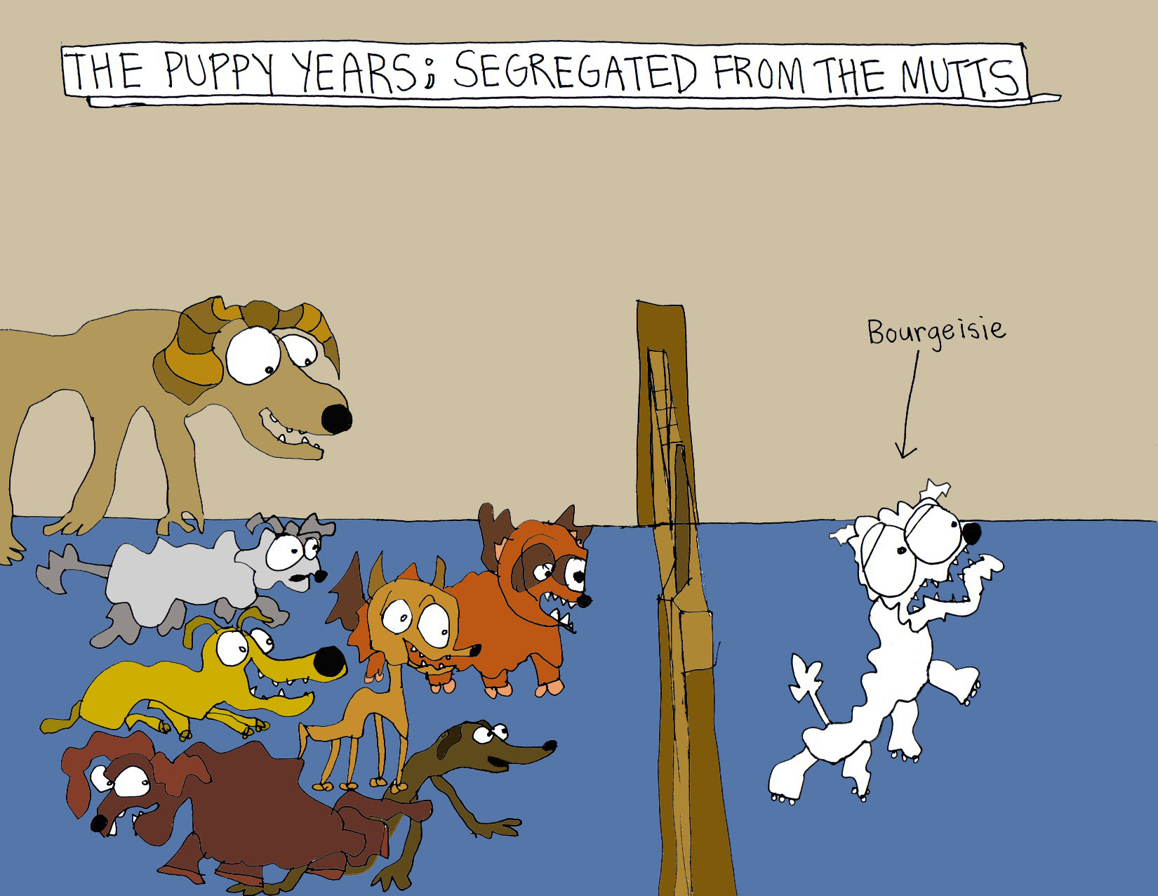 John's Commentary: There is no equality even amongst the pups...You can imagine how Sir Charles ego develops from this point onward.