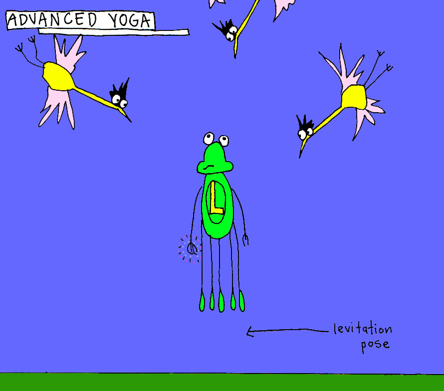 John's Commentary: Mind over matter (the birds don't feel as special).